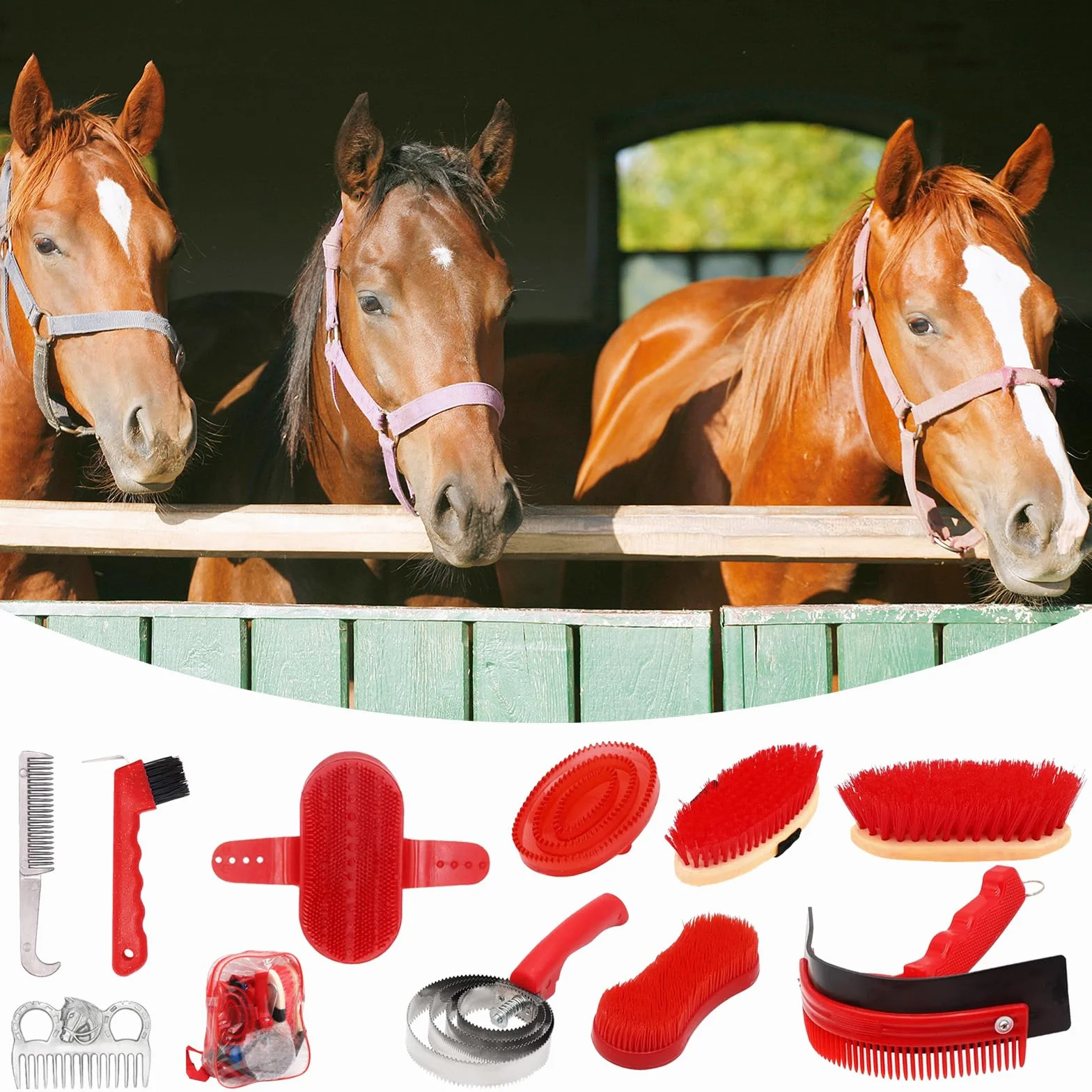 Brosses Pour Chevaux 10 Pièces Ensemble De Soins De Toilettage Nettoyage Brosse Équestre Accessoires Massage