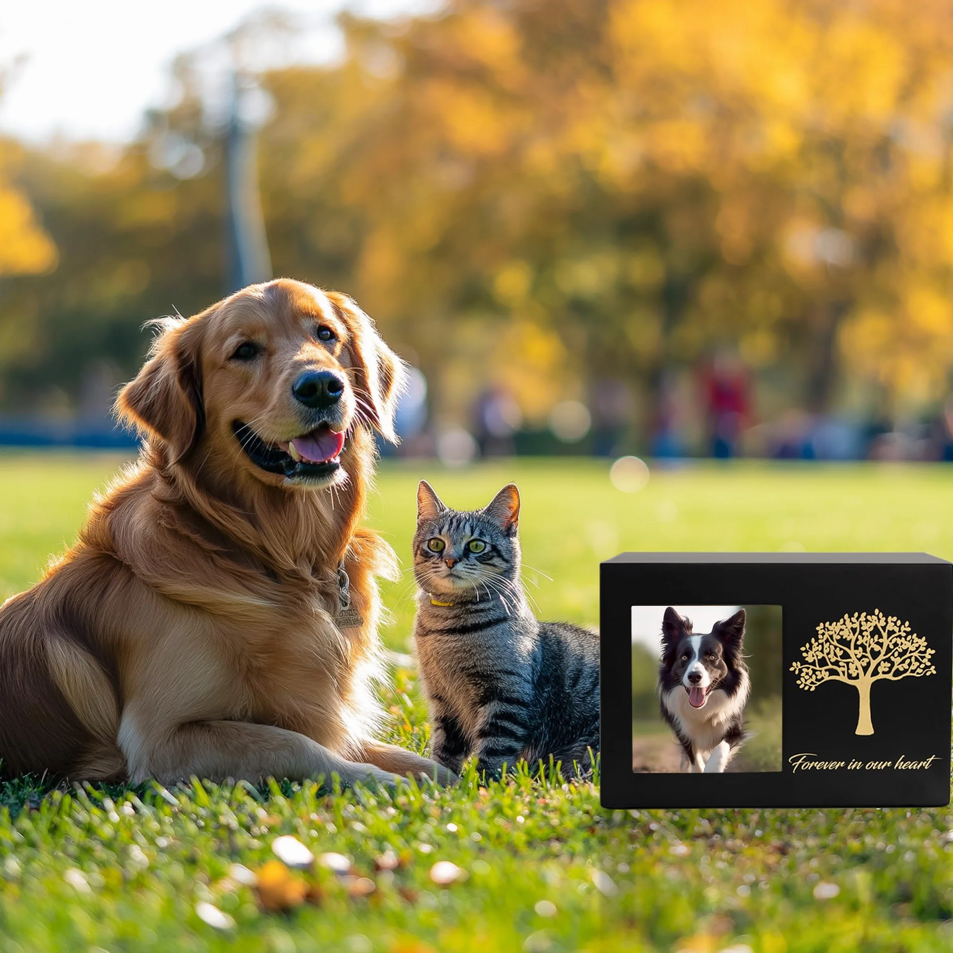 Urne funéraire pour Animaux Chat Cadre Photo Personnalisé Arbre de Vie Cendres Chat Chien Souvenirs Commémoratifs Taille L