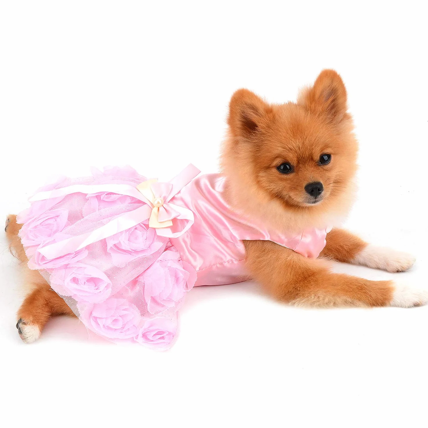 PAIDEFUL Robe pour Petit Chien Fille Jupe Tutu en Dentelle à Fleurs Roses Soyeux Mariée Anniversaire Chihuahua Rose S