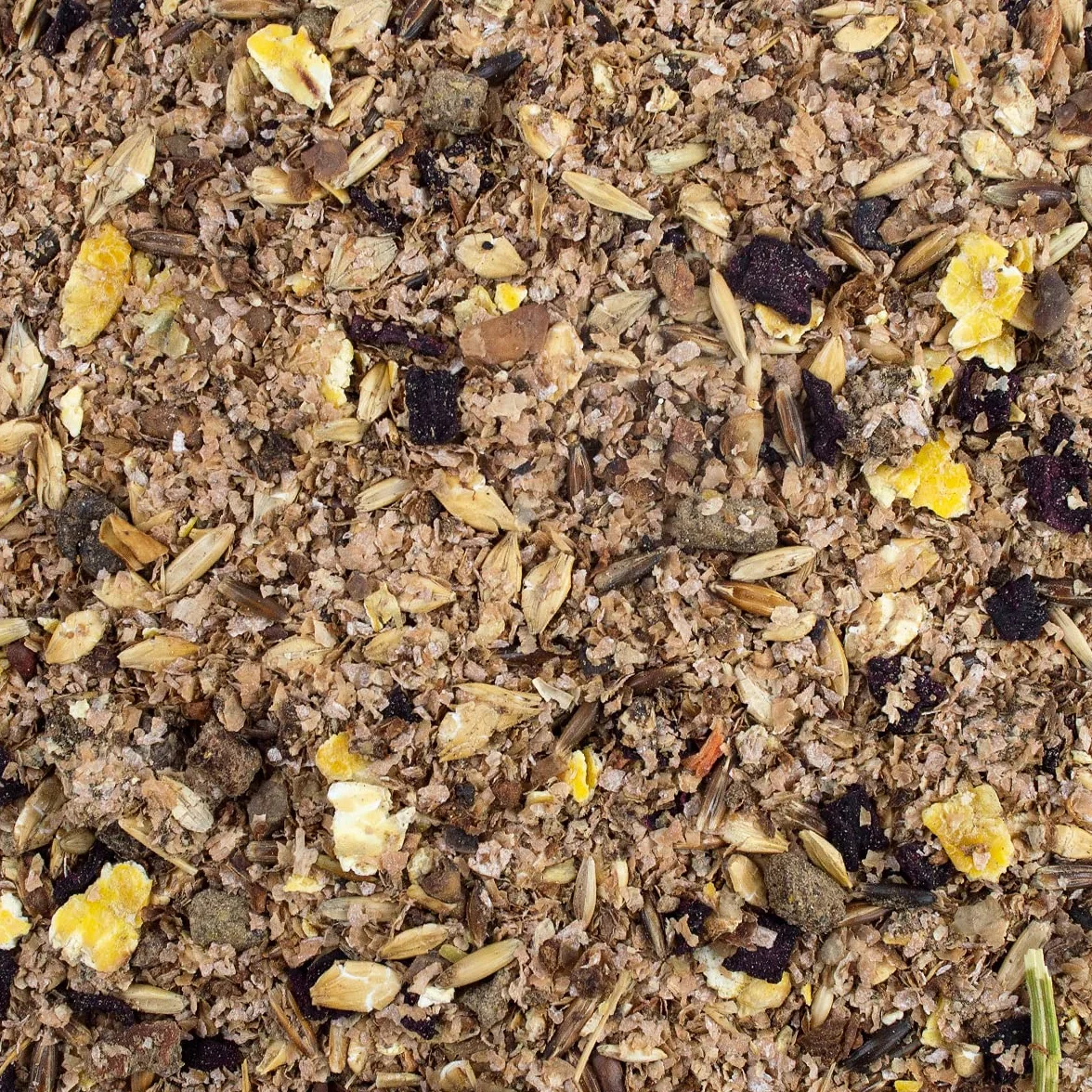 Speed Red Apple Mash 2,5 kg Nourriture Chevaux à Base de céréales avec Morceaux de Pommes et betteraves Rouges
