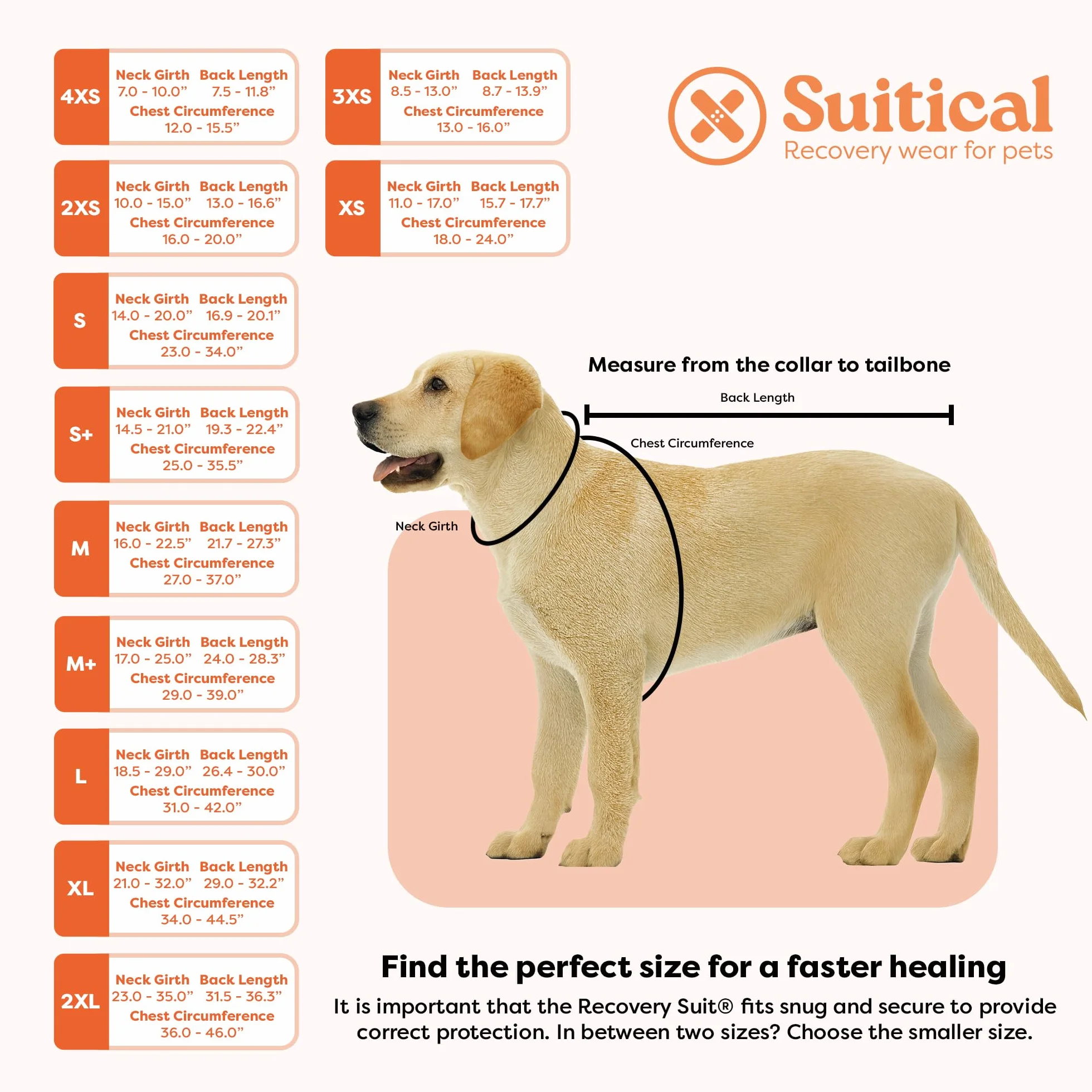 Suitical Recovery Suit Chien S+ Noir