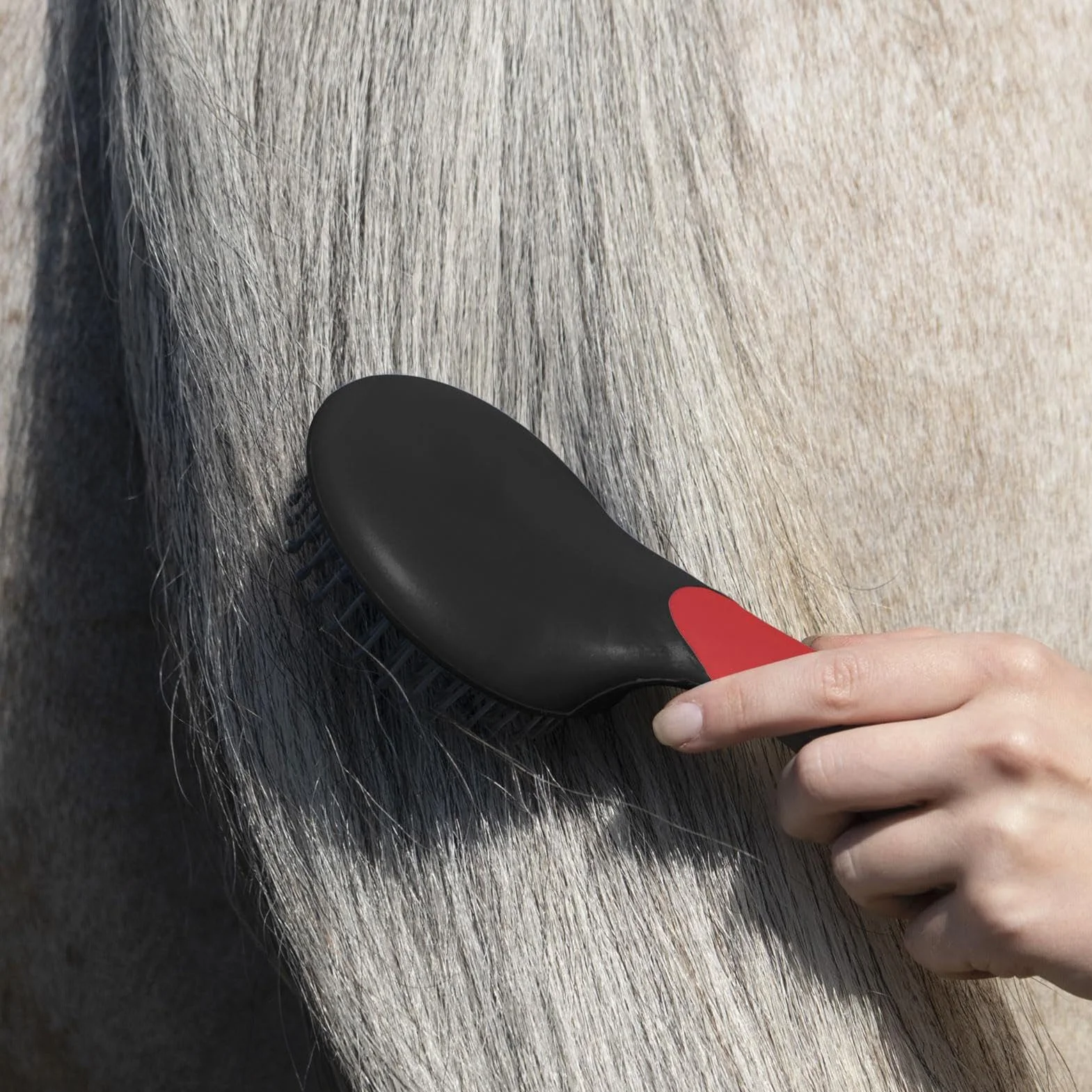 Brosse Crinière et Queue de Cheval Accessoire Toilettage Massage En Crin Antidérapant