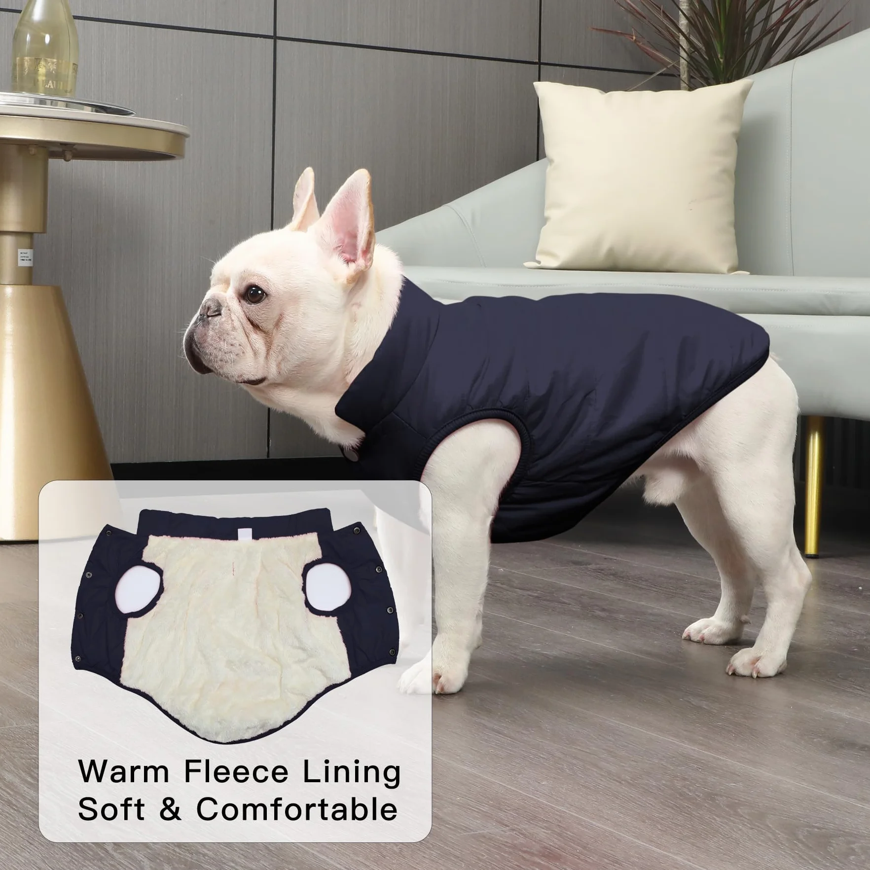 Joydaog Manteau coupe-vent chien 2 couches doublure polaire extra-chaude
