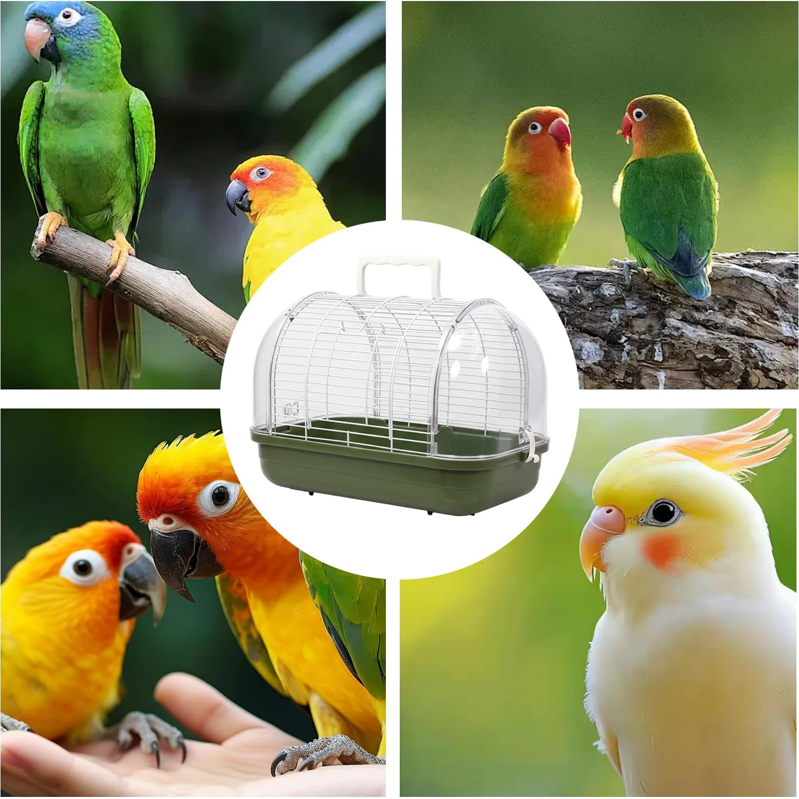Cage De Pour Oiseaux De Compagnie Nid Avec Perchoir Debout Et Fenêtre | Cage D'Extérieur Pour Oiseaux pour Perruche, Canari, Calopsitte, Conure et Dragon Barbu