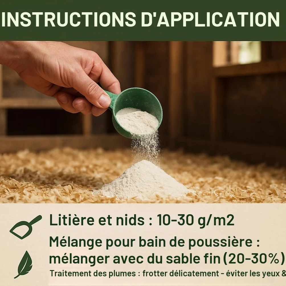 GiDeli Terre de diatomée pour poulets 100% pure non calcinée contre l'acarien rouge 10 kg