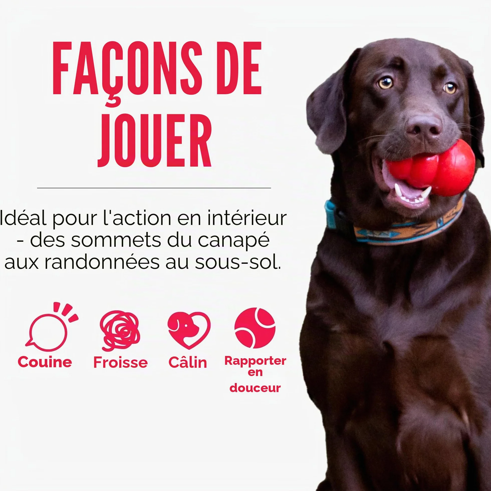 KONG Sherps Donkey Jouet pour Chien Taille M