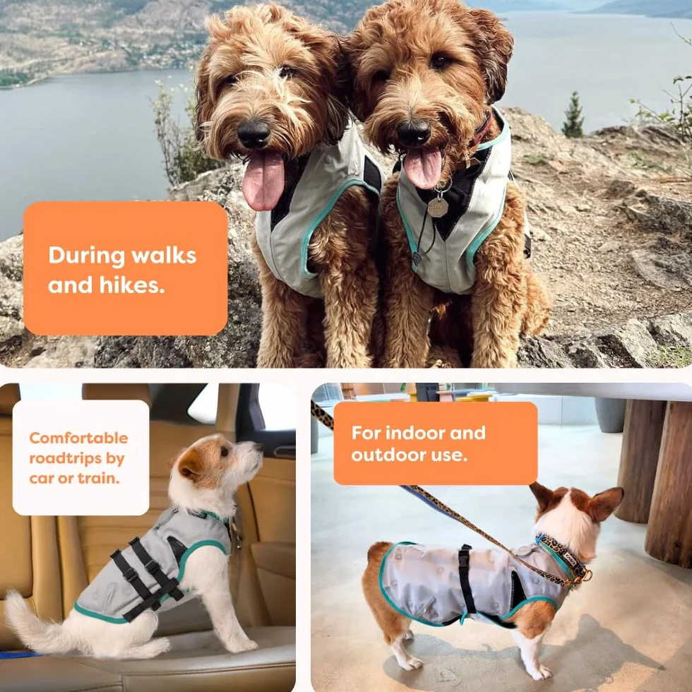 Suitical Dry Cooling Vest Chien XS Argent