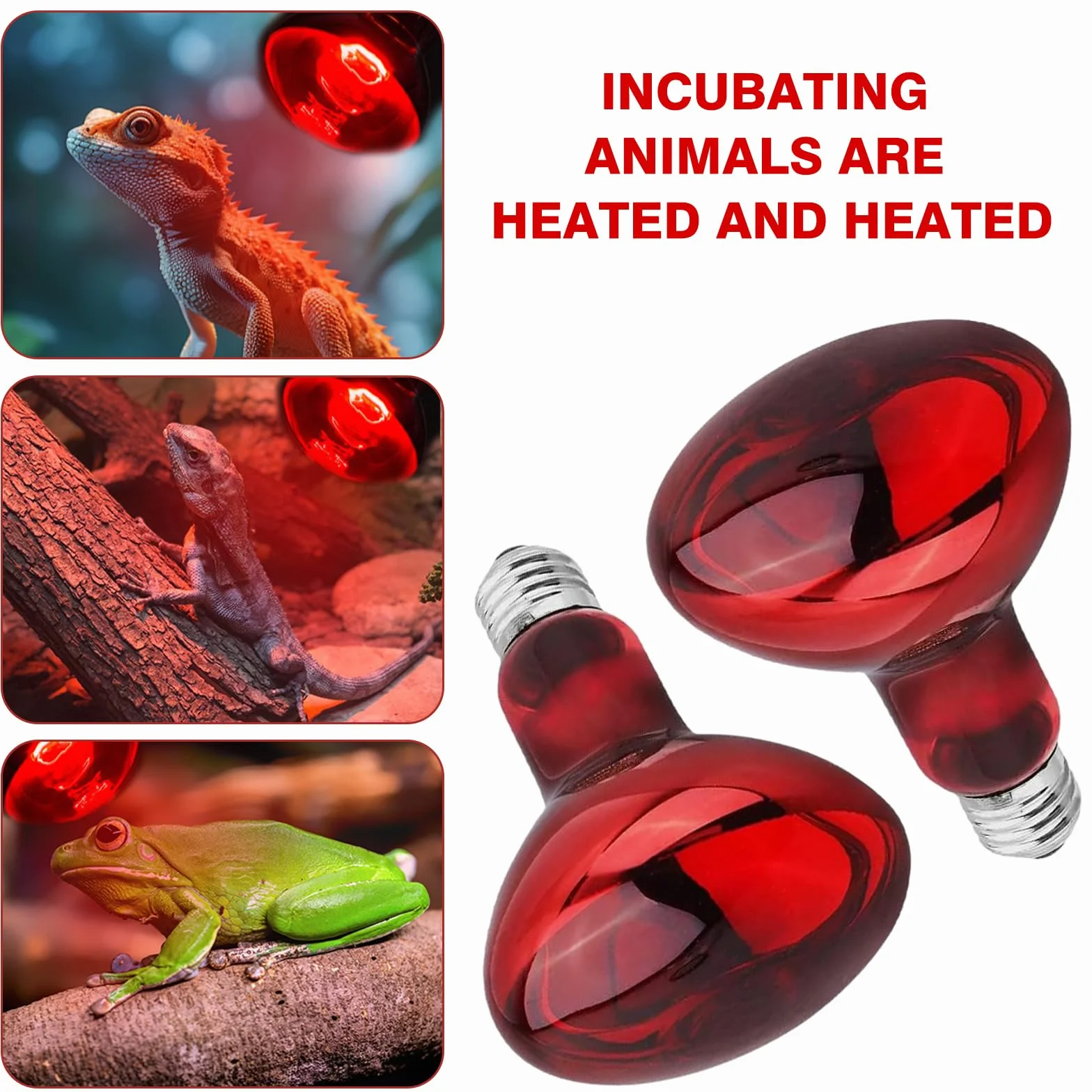 Lampe Chauffante Infrarouge Reptile 100W E27 Rouge Dimmable 2 Pièces