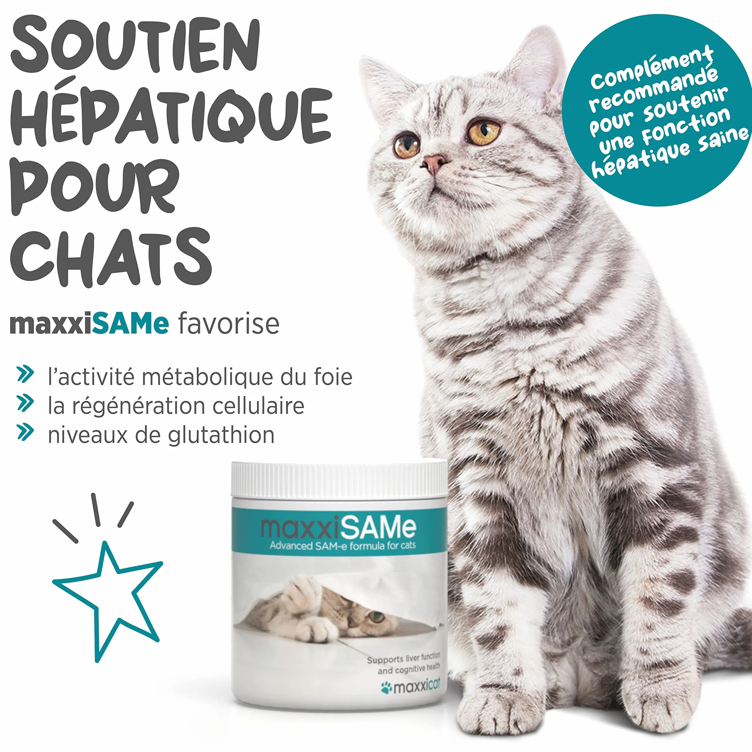 maxxiSAMe pour le Soutien du Foie félin et Dysfonctionnement cognitif Chats âgés – Sam-e Supplément Chats – Poudre 90 g