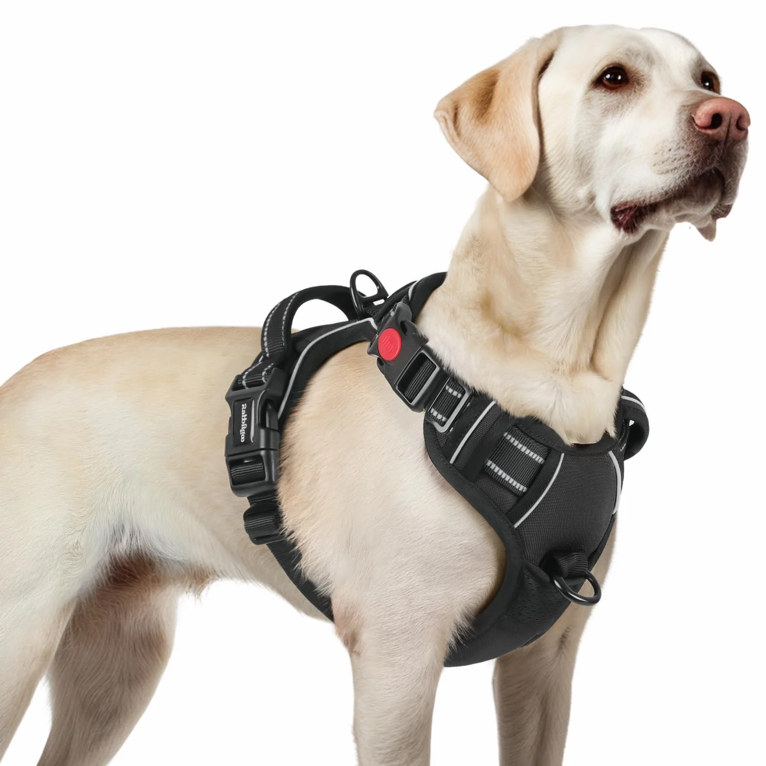 Rabbitgoo Harnais Chien Anti Traction 3 Boucles Réglable Réfléchissant Noir L