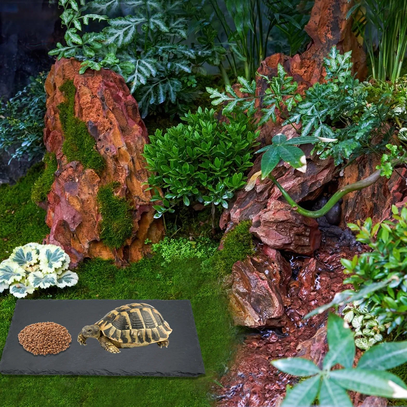 Plateau en Ardoise pour Reptiles 30x15 cm Plateforme de Repos Tortue Lézard
