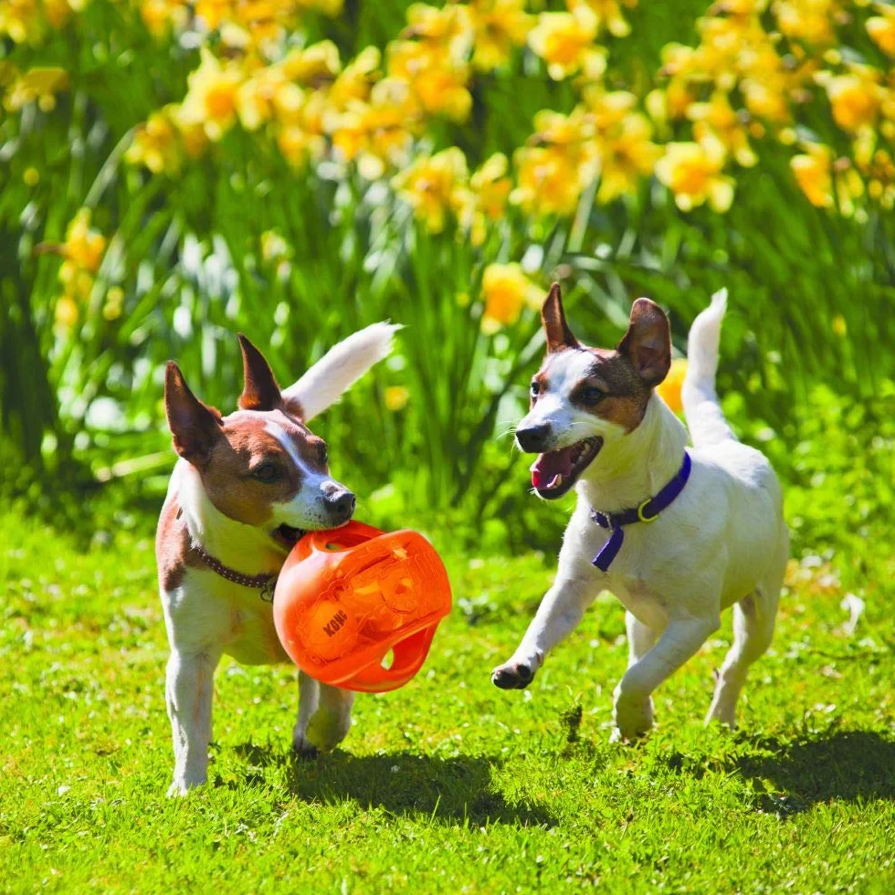 KONG Jumbler Ball Jouet De Récupération Chien Chiot Moyen Grand