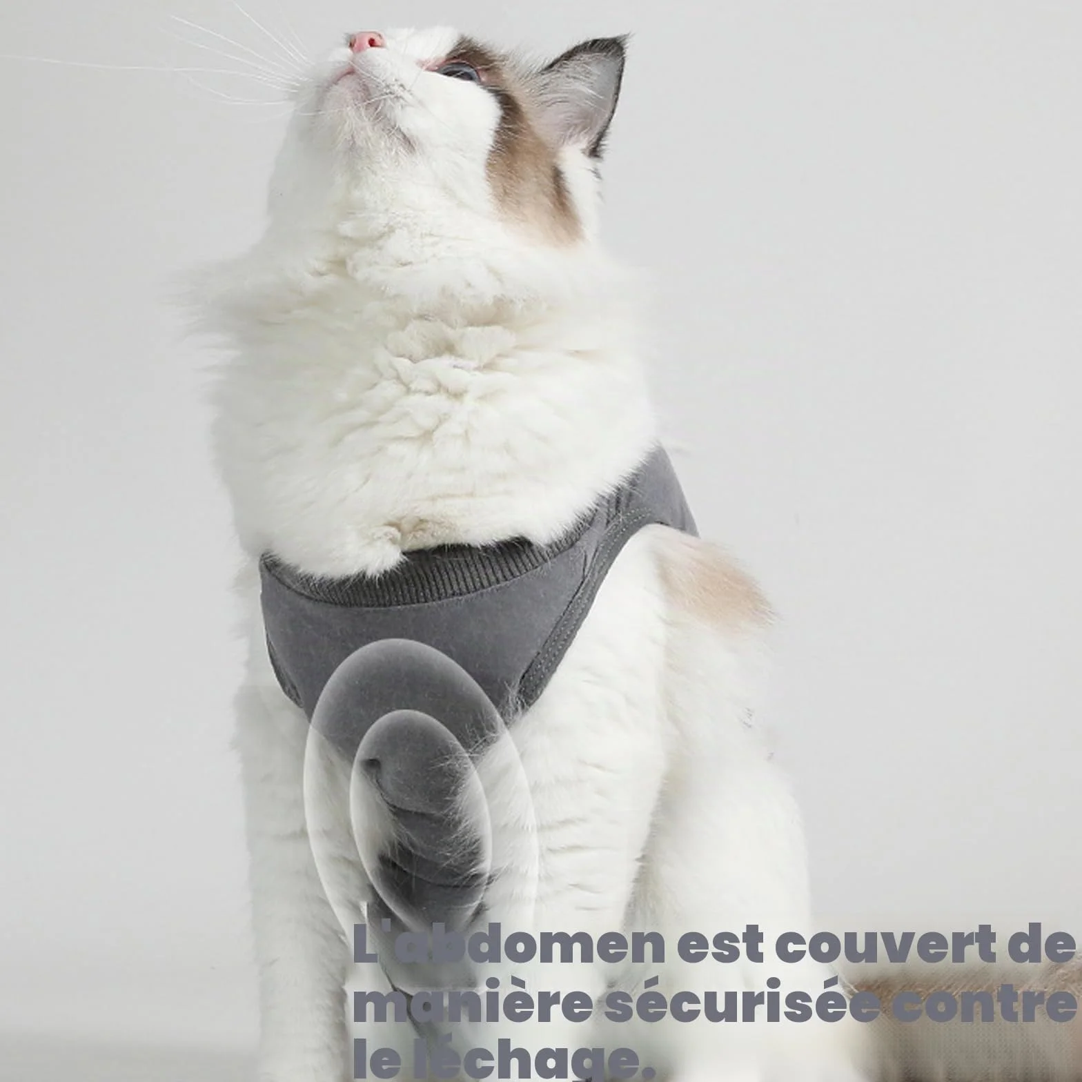 Combinaison de Récupération pour Chat Après Stérilisation Gilet 2 PCS Body Post Opératoire