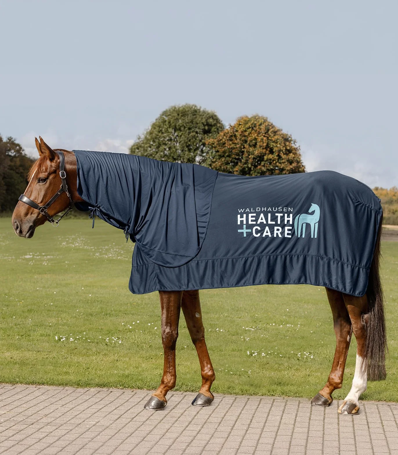 Waldhausen Health + Care Ice-Layer Couverture Bleu nuit 155 cm