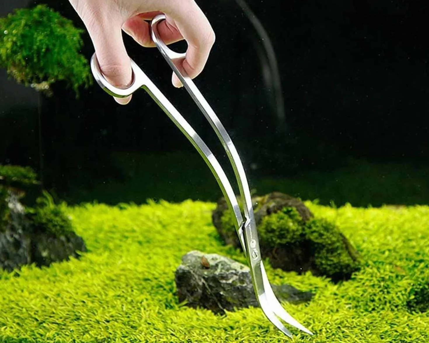 Ciseaux Aquarium Professionnel 25 cm Acier Inoxydable Pointe Courbe pour Réservoir