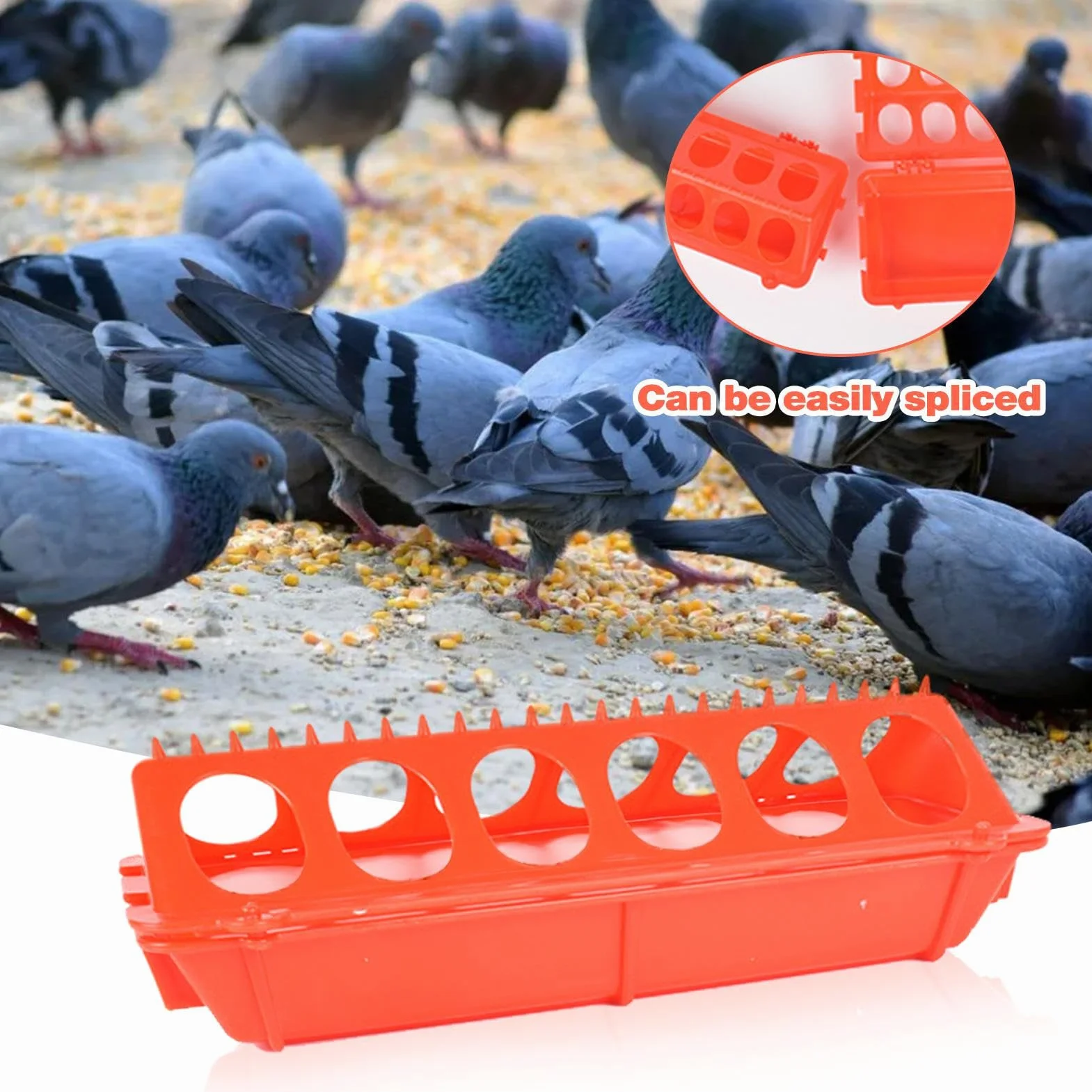 Mangeoire à volaille grande capacité pour poulet pigeon caille perroquet
