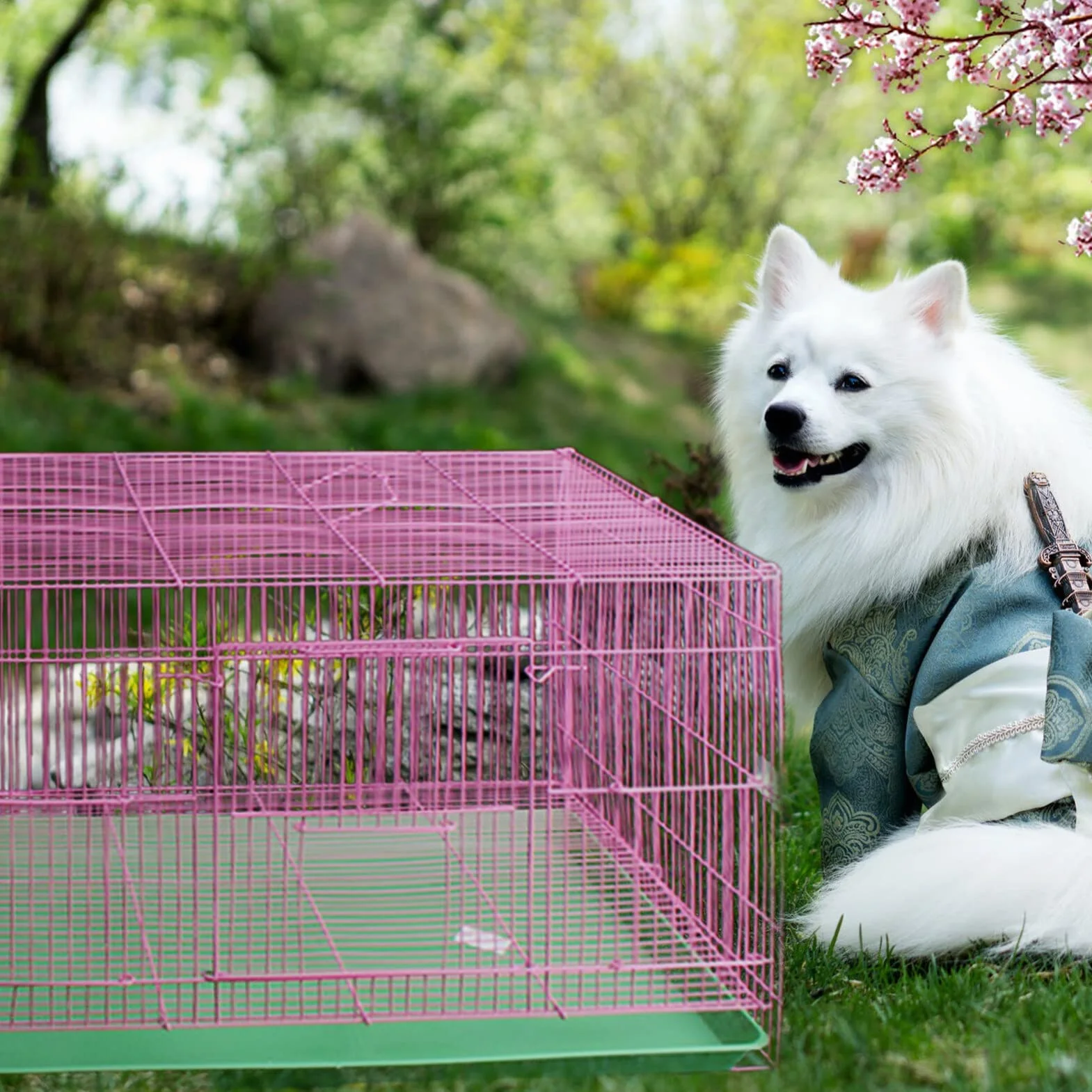 ULTECHNOVO Plateau de Remplacement en Plastique Vert pour Cage d'animaux, Résistant aux Marques la Rouille, Adapté pour Litière et Accessoires pour Animaux Domestiques