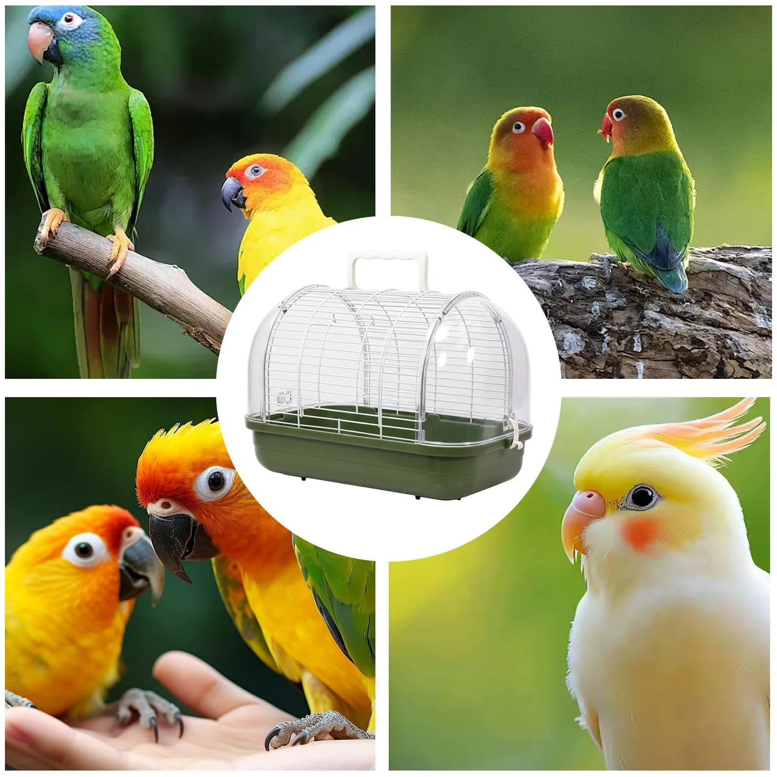 Transporteur d'oiseaux Boîte De Transport avec Un Perchoir Debout Et Une | Cage de pour Oiseaux pour Perruche, Canari, Calopsitte, Conure et Dragon Barbu