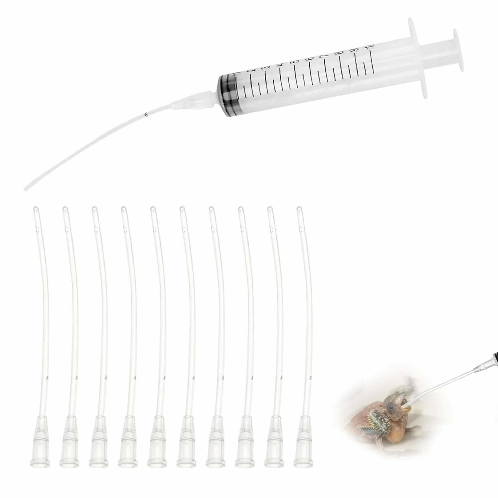 Kit Seringue Alimentaire 10ml avec 10 Tuyaux pour Oiseaux Pigeons Perruches