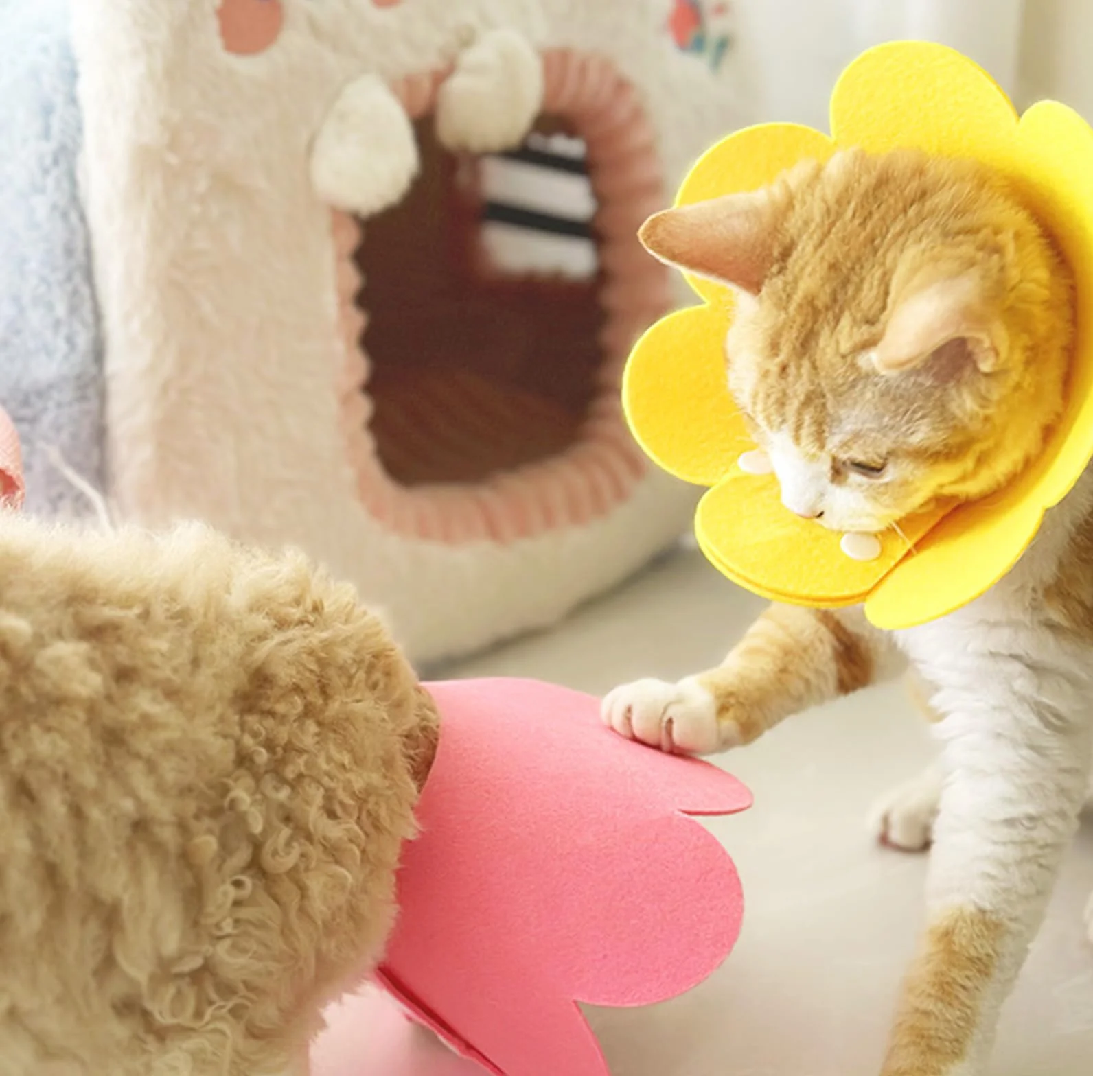 Colliers de protection pour chat anti-morsure Lot de 3 Taille M rose jaune orange