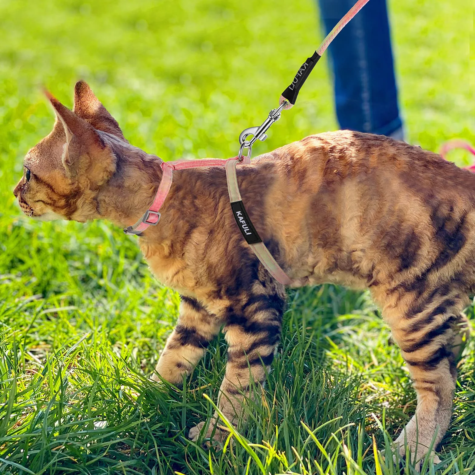TIESOME Ensemble Harnais et Laisse pour Chat Anti-Fuite Réglable Orange