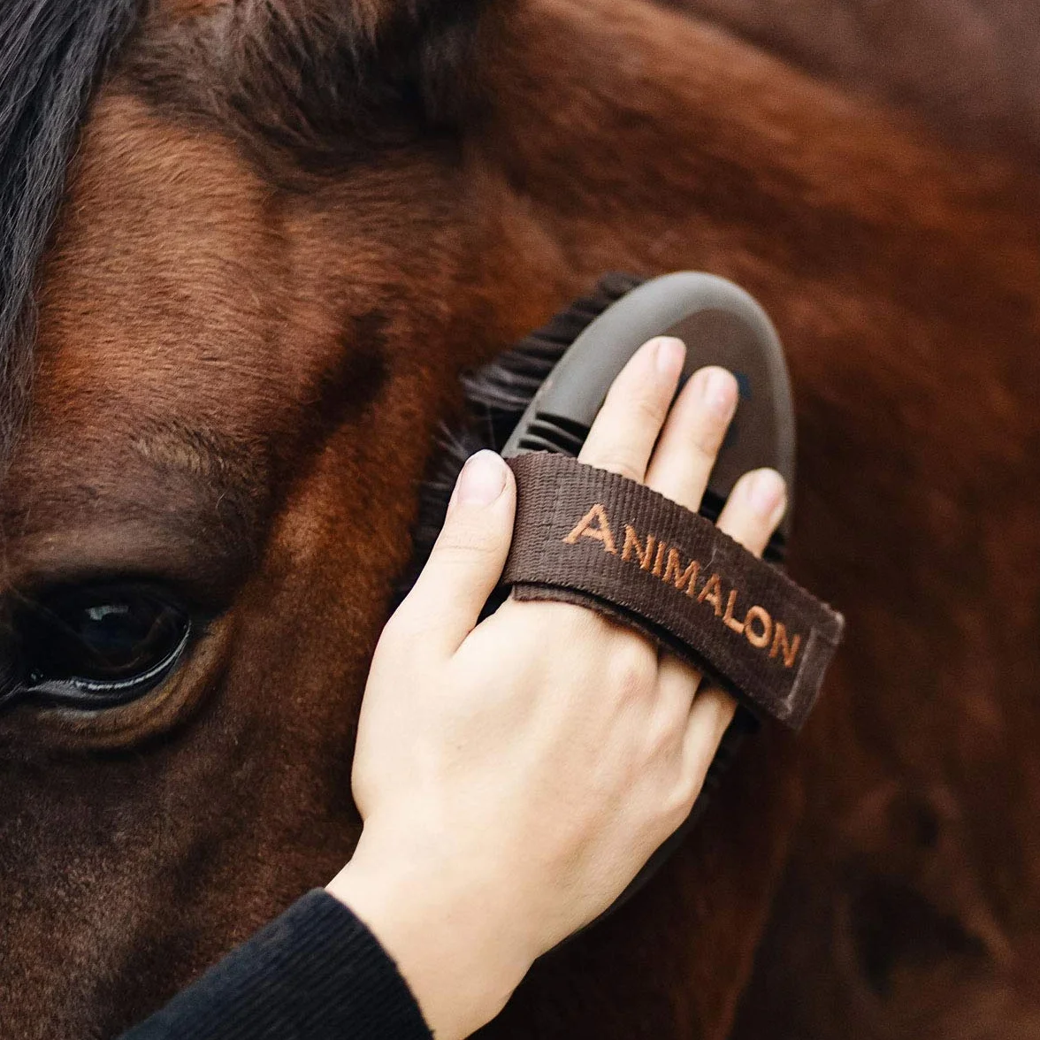 Brosse pour Chevaux CareFlex Animalon Flexible Ergonomique Velcro Kit Pansage Accessoires Nettoyage Équidés