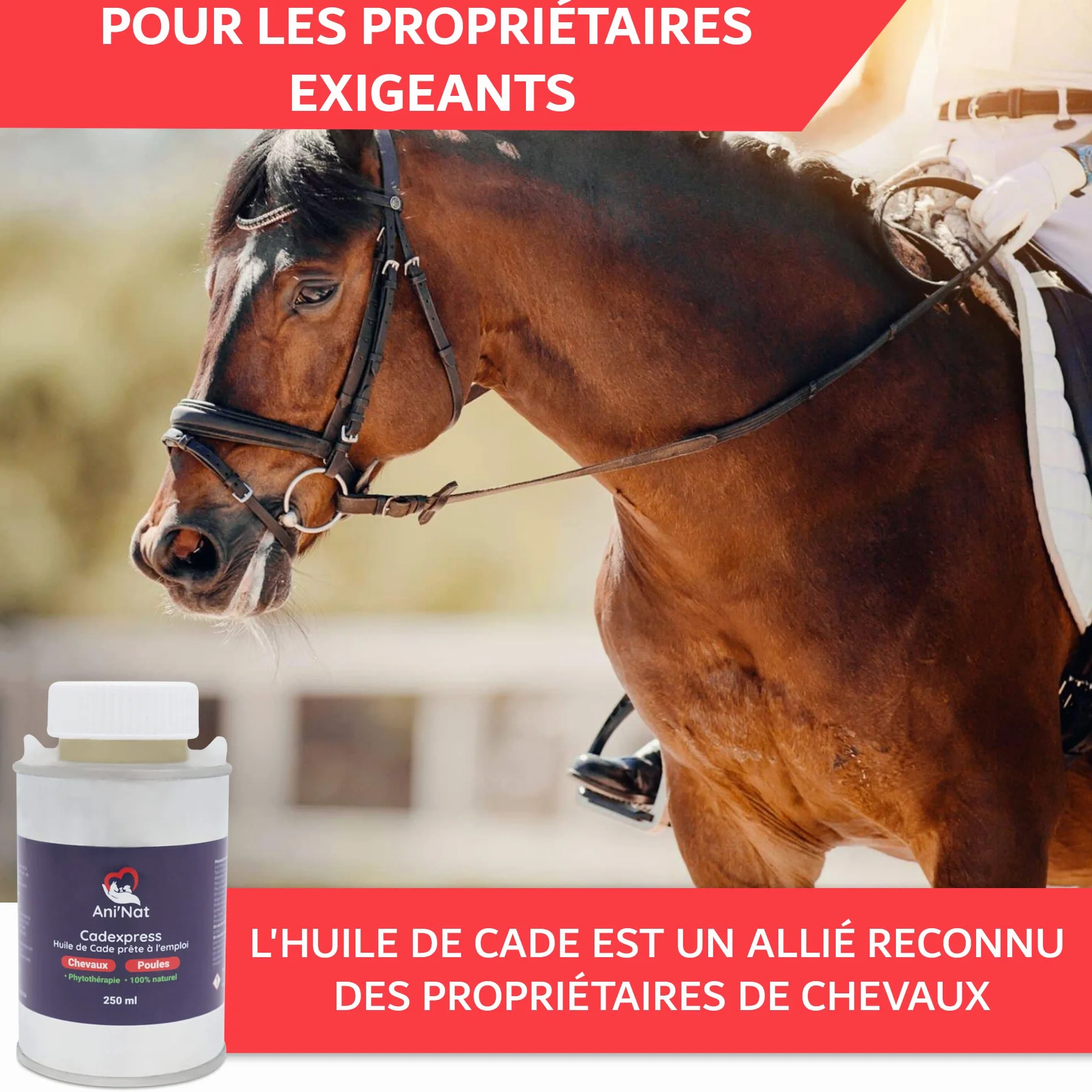 AniNat CADEXPRESS Huile de Cade prête à l'emploi - Soin des Pattes des Poules, Sabots Chevaux - Pot 250ml