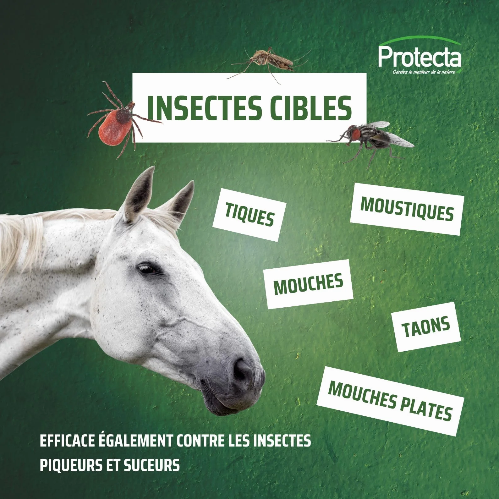 Protecta Répulsif Anti-Mouches Cheval 500mL Protection Longue Durée