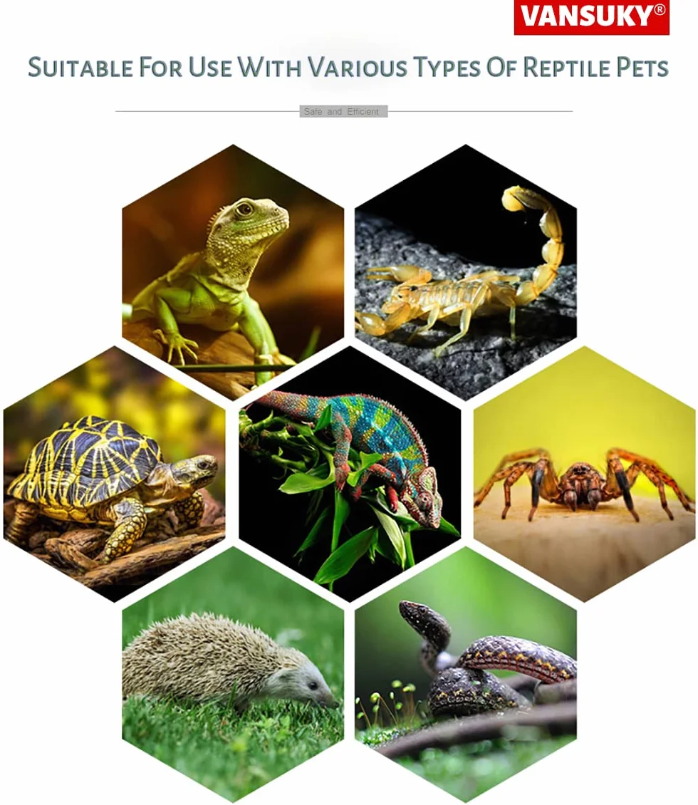Lampe Chauffante en Céramique 200W Reptiles – Émetteur de Chaleur Infrarouge Sans Lumière 220-240V