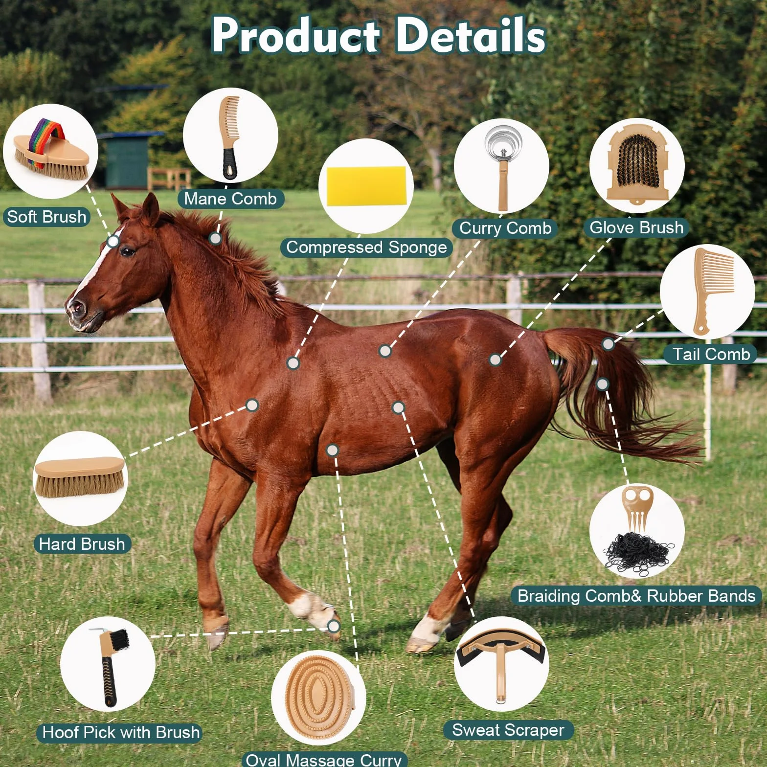 Kit de Toilettage pour Cheval, 13 Brosses avec Sac de Rangement Série Equine Care