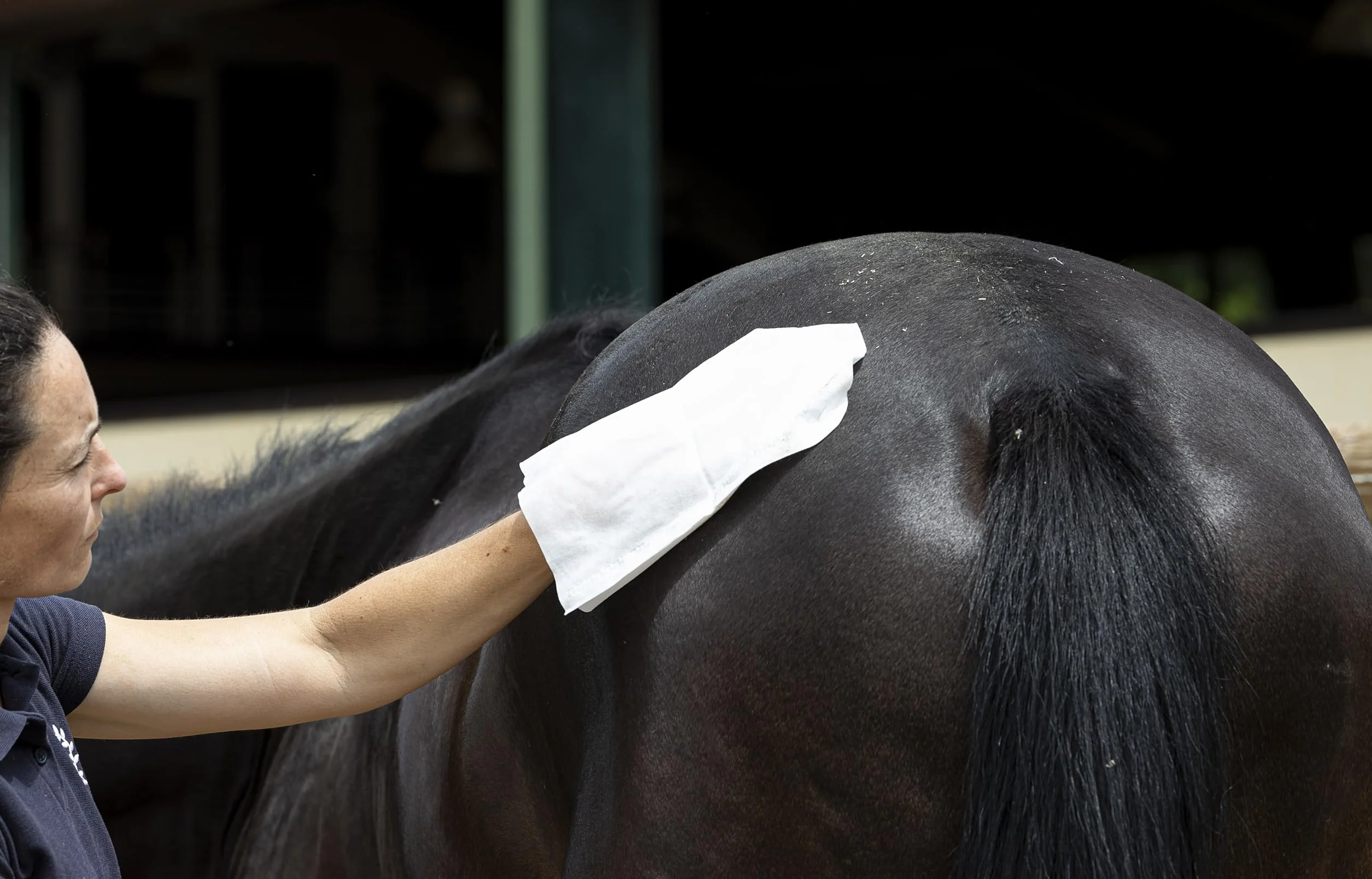 Artero Bops Gants de nettoyage humides pour cheval enlever poussière taches