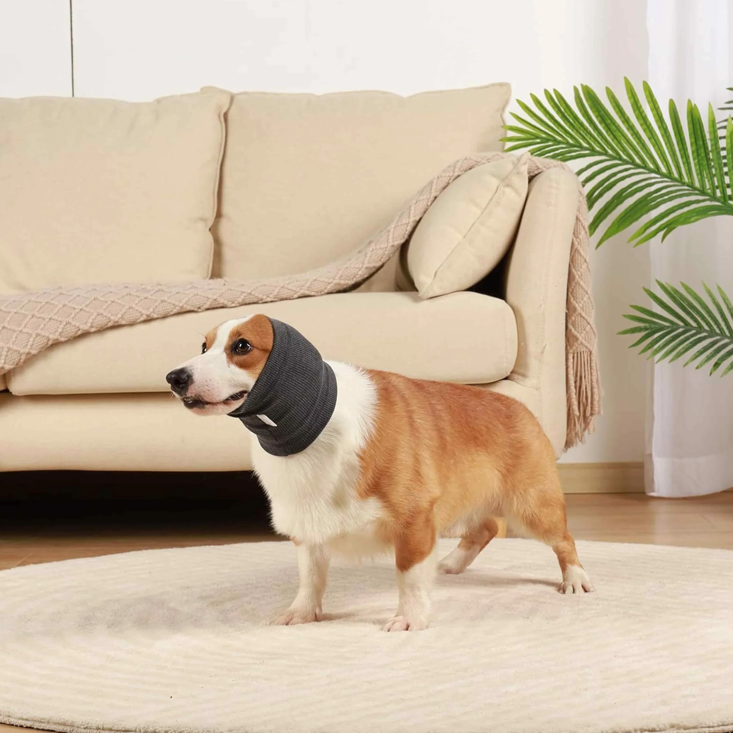 Cache-cou et Protège-Oreilles pour Chien - Réduit le Bruit et Calme les Animaux Domestiques - Confortable et Anti-Anxiété - Couvre-Tête pour l'Hiver - Taille S Gris