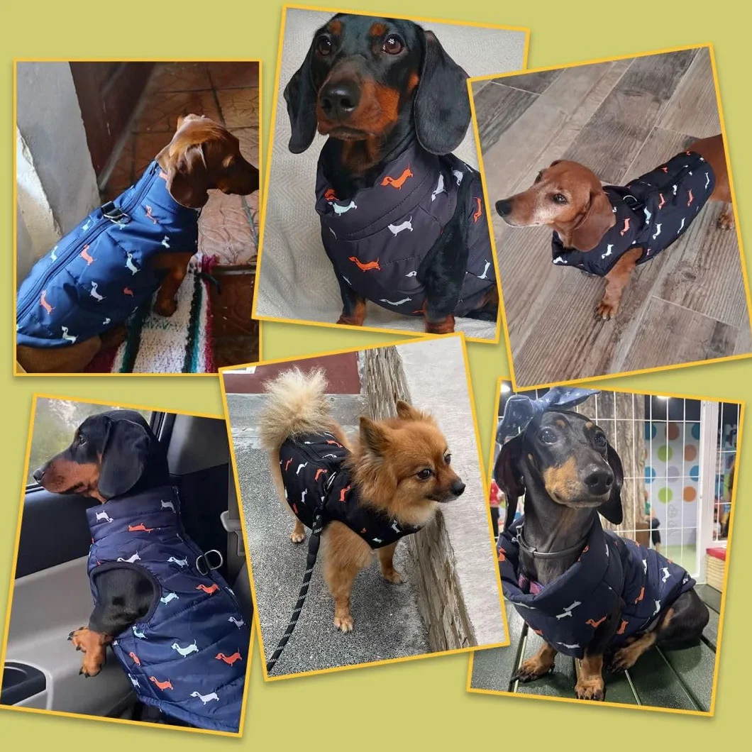 Manteau Chien Petite Moyenne Taille Imperméable Veste avec Trous Harnais Noel Teckel Chihuahua Noir XS