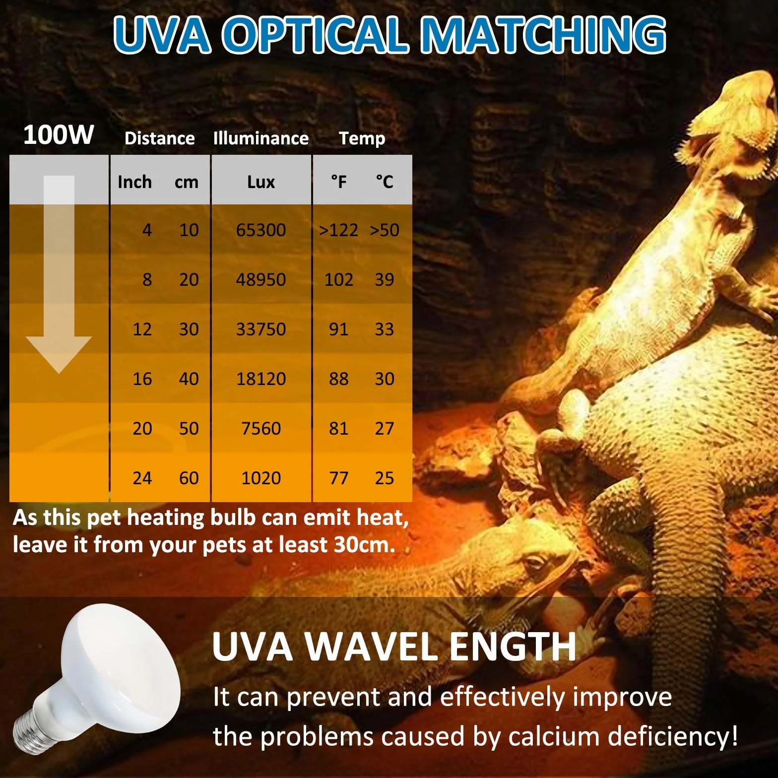 Ampoule Chauffante Terrarium 100W UVA E27 R80 Basking Spot AC 220V Reptile
