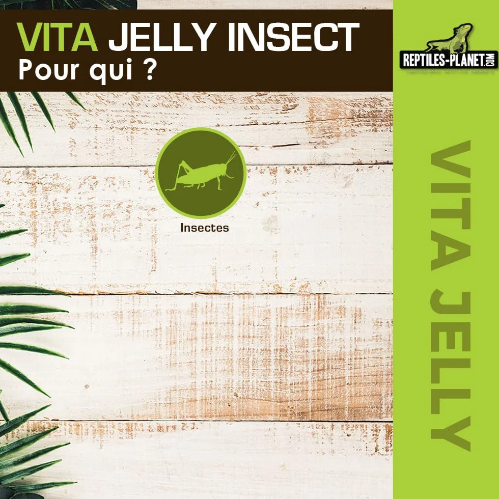 REPTILES PLANET Nourriture Vita Jelly Mix Insectes 10 Pièces