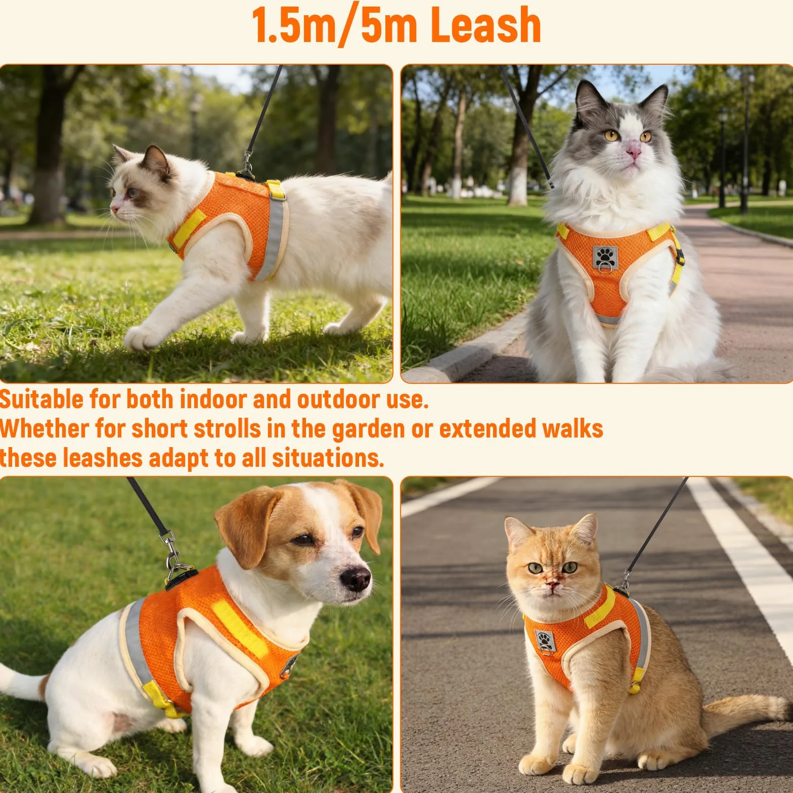 Harnais Chat Anti Évasion avec Laisse, Bandes Réfléchissantes, Laisse Automatique 5m, Réglable (Orange-Jaune, Taille M)