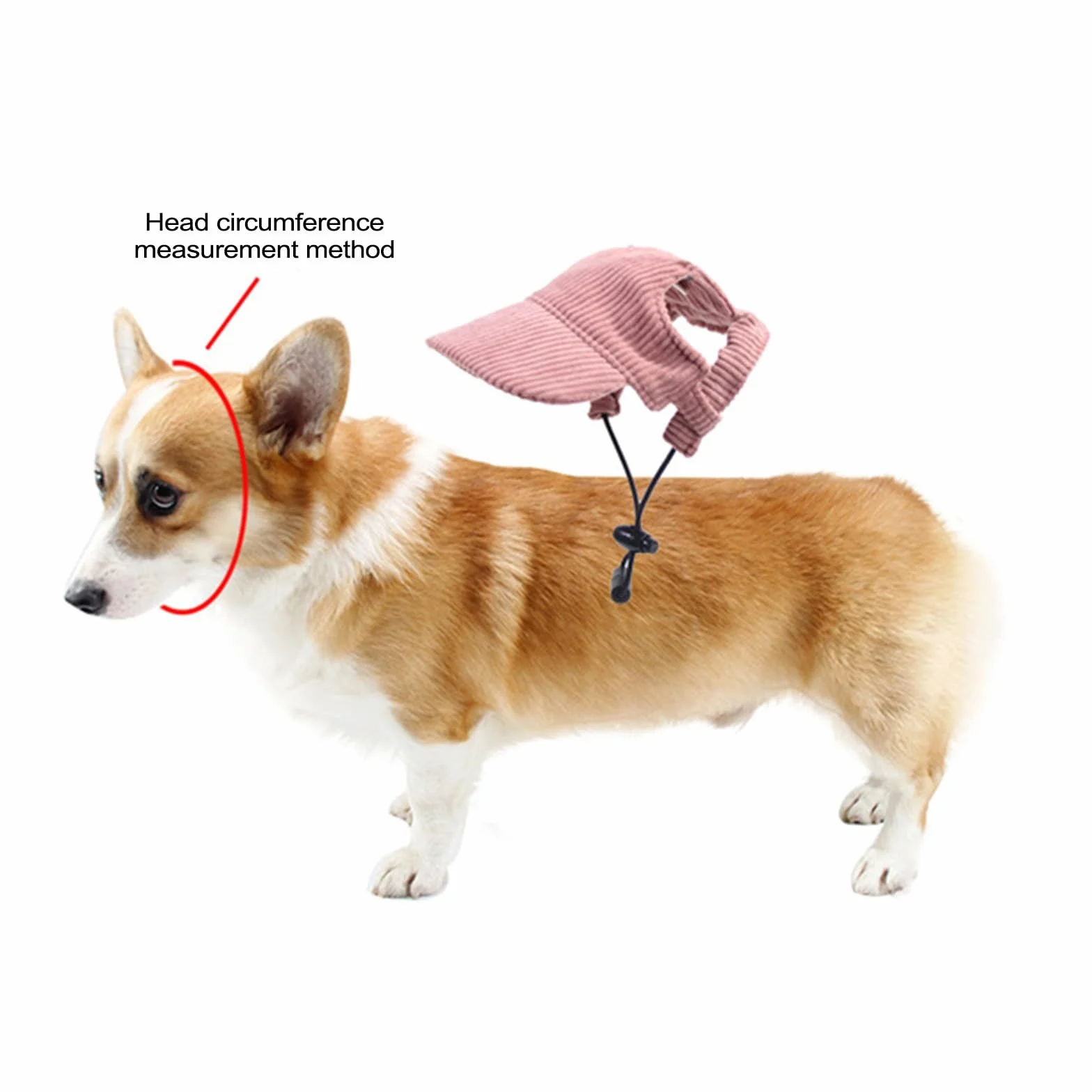 Casquette Chien avec Nom Brodé Personnalisé Chapeau Chien Personnalisée Casquette de Baseball pour Petit, Moyens et Grande Animaux de Compagnie