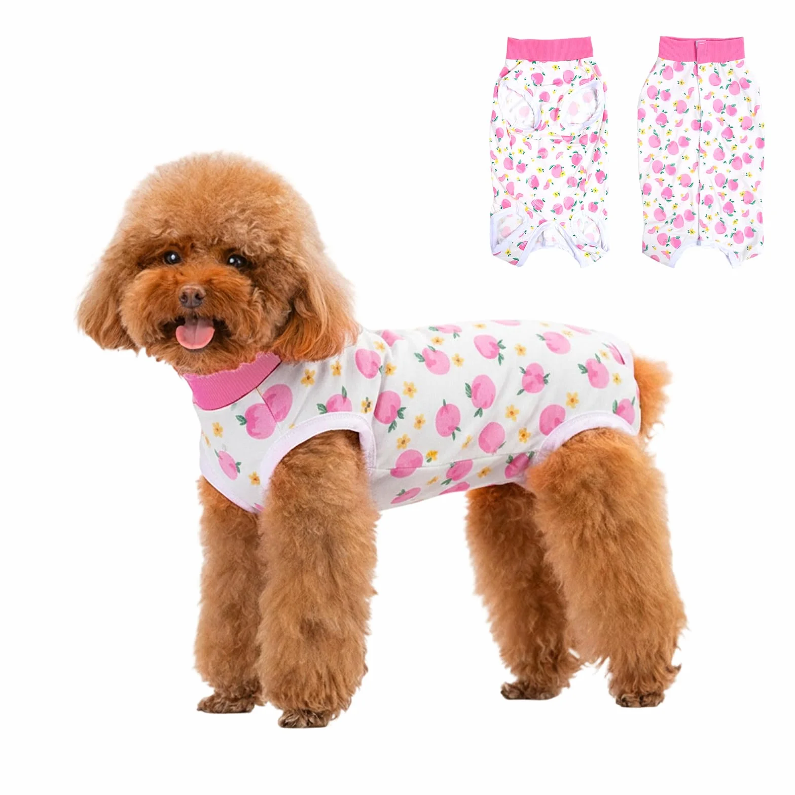 Combinaison de Récupération pour Chiens Chats Après Chirurgie, Body Post Opératoire pour Chien Petite Moyenne Taille