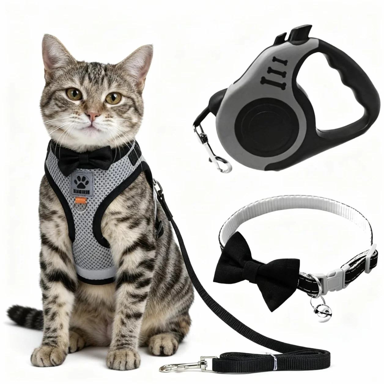 Harnais Chat Anti-Évasion avec Laisse Télescopique 5m, Ensemble pour Chatons et Petits Chiens