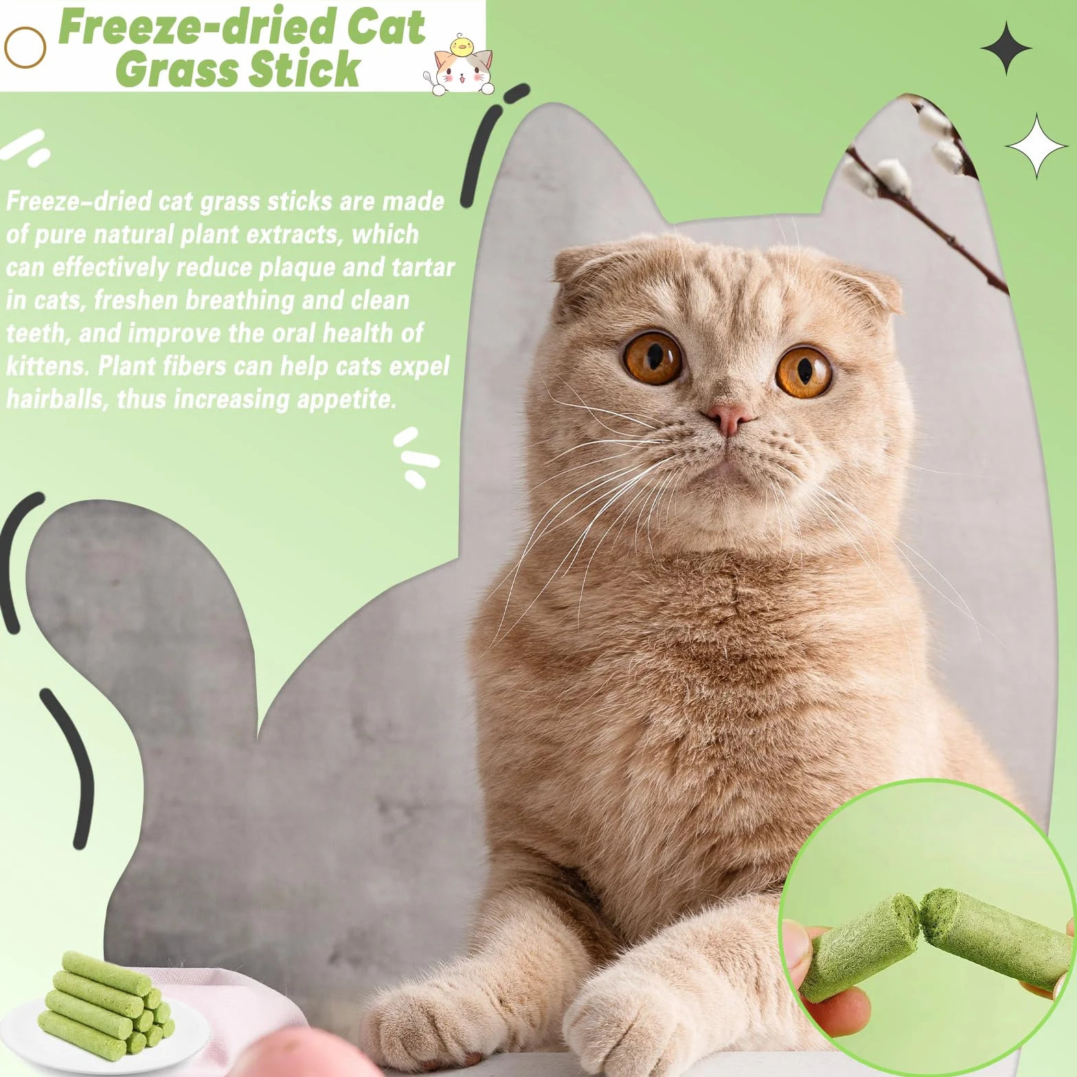 Bâton d'herbe à Chat 12 Pcs Fabriqué à Partir d'herbe à Chat Ingrédients Naturels Améliore la Digestion