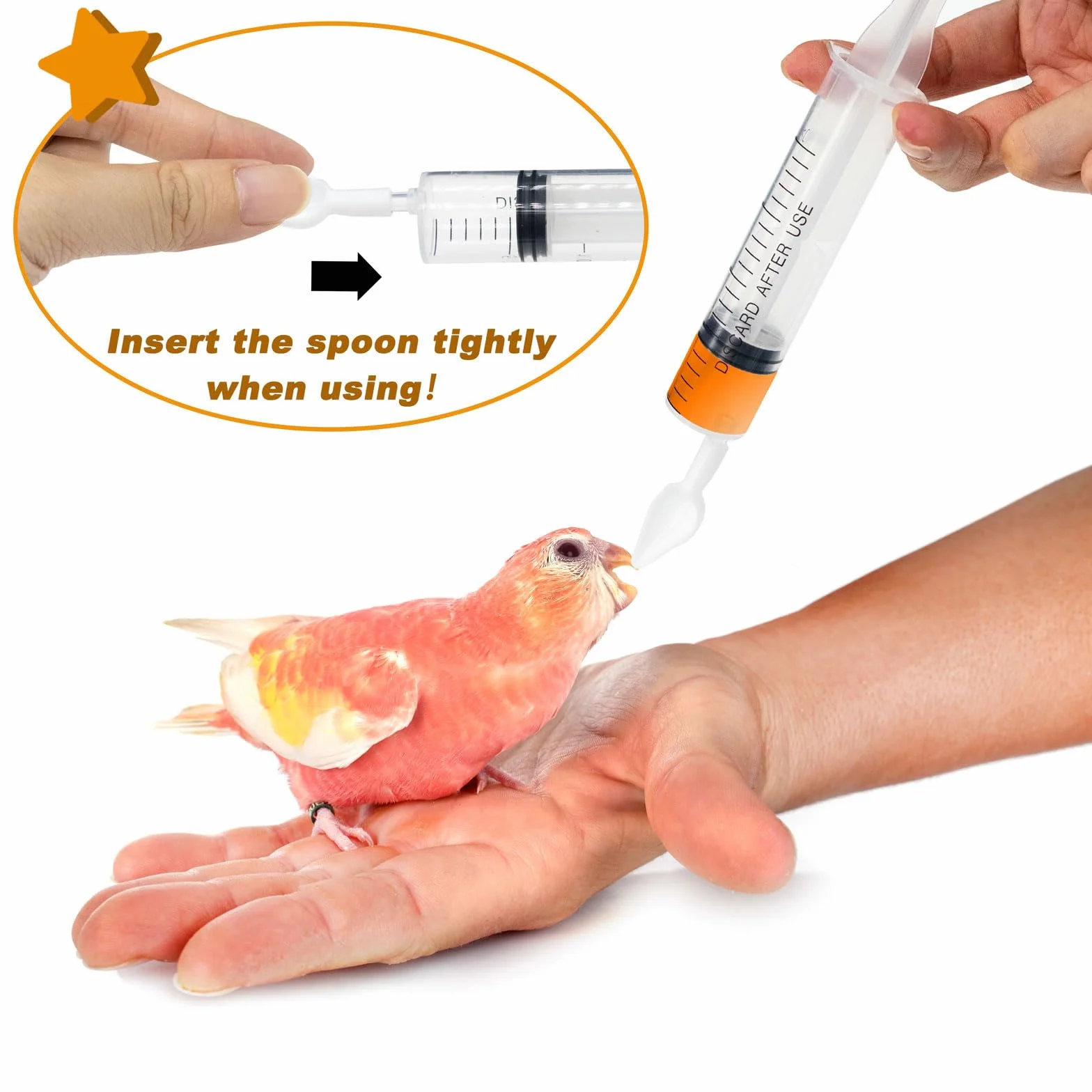Sonde d'alimentation pour oiseaux seringue 10ML 20ML 60ML