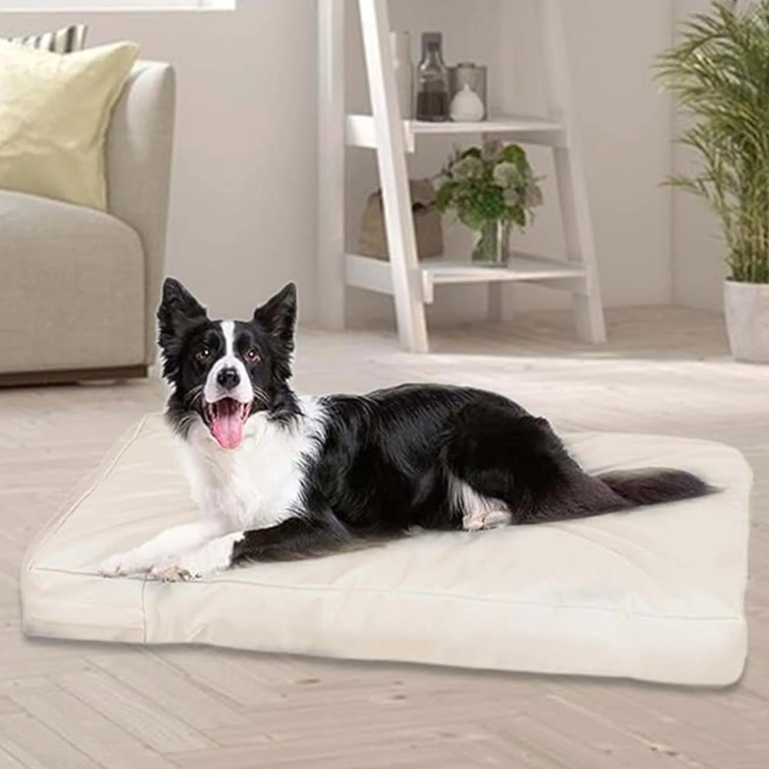 Housse de lit pour chien imperméable en tissu Oxford 210D extérieur anti-poussière