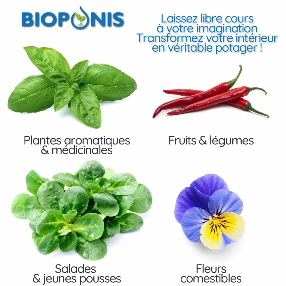 Bouchon Noir pour Potager d'Intérieur Hydroponique - Lot de 10