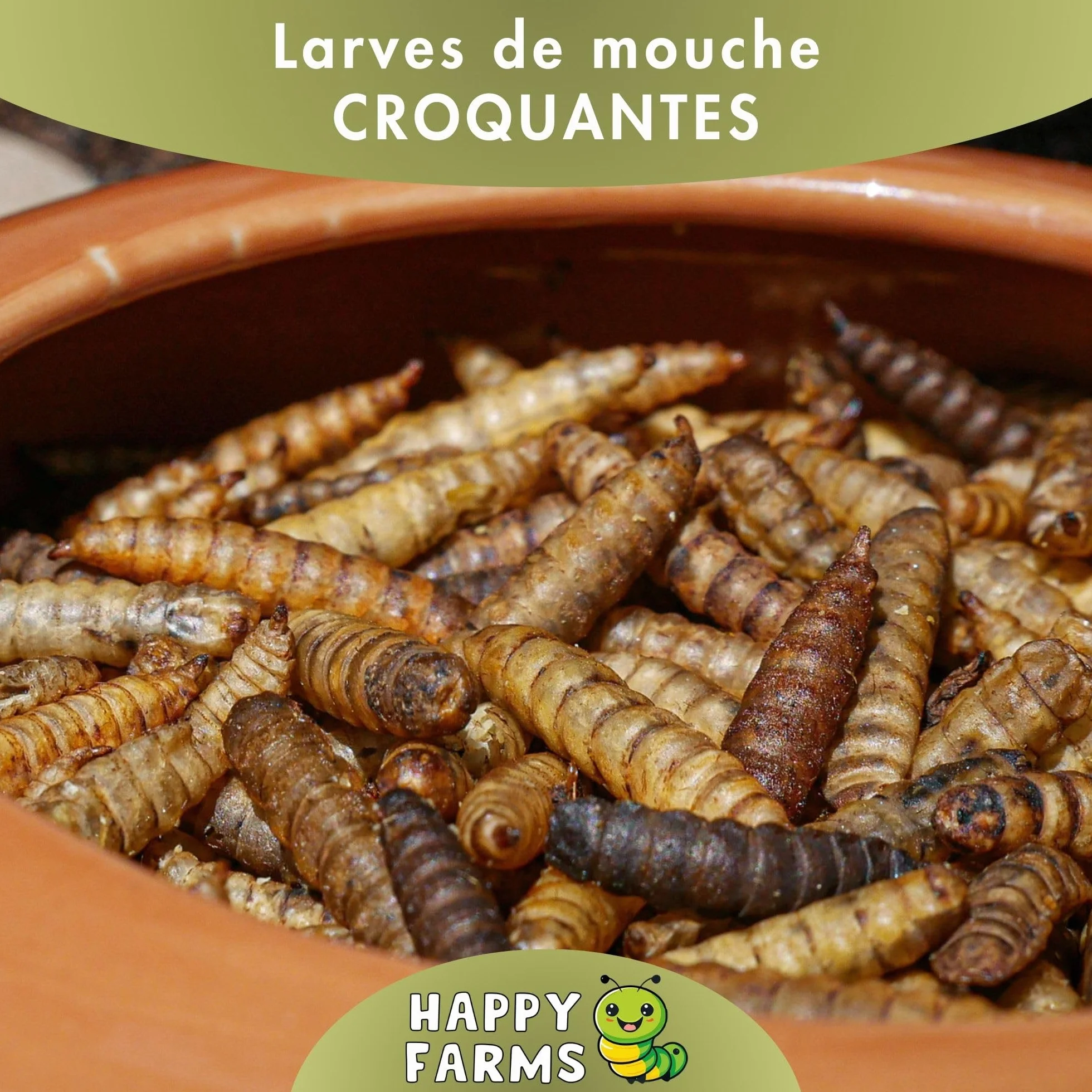 Larves de Mouches Soldats séchées 5 kg – Aliment pour Oiseaux Sauvages, Poules et hérissons