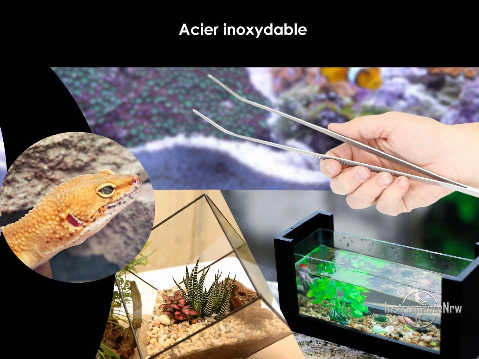 Kit complet pour aquarium-terrarium en acier inoxydable - Pinces, ciseaux, spatule à gravier