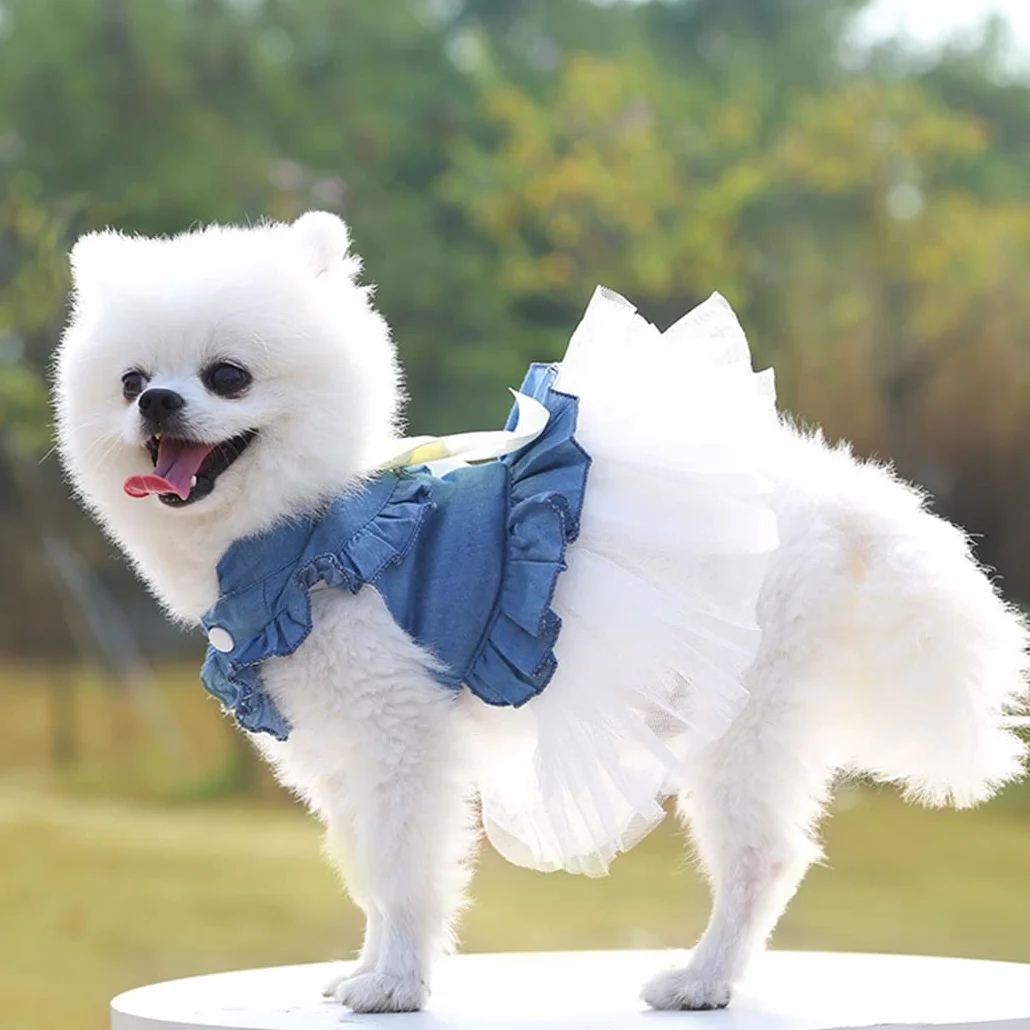 XIAOYU Chien Robe Animal de Compagnie Bowknot Princesse Jupe été Denim Gilet Chemises Douce Soirée Mariage vêtements Blanc XXL
