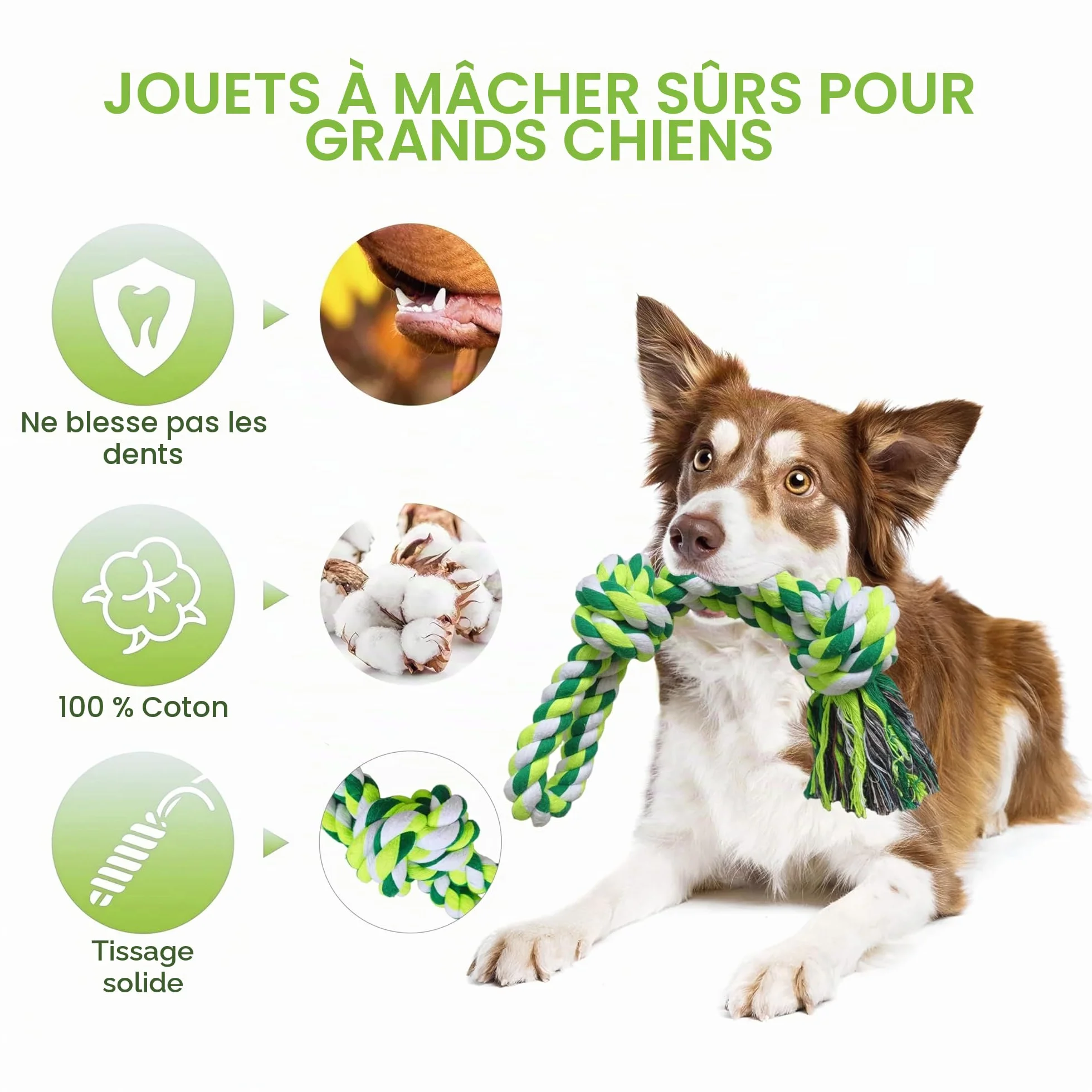 Jouet à Mâcher Chien élastique Indestructible 100% Coton Tir à la Corde