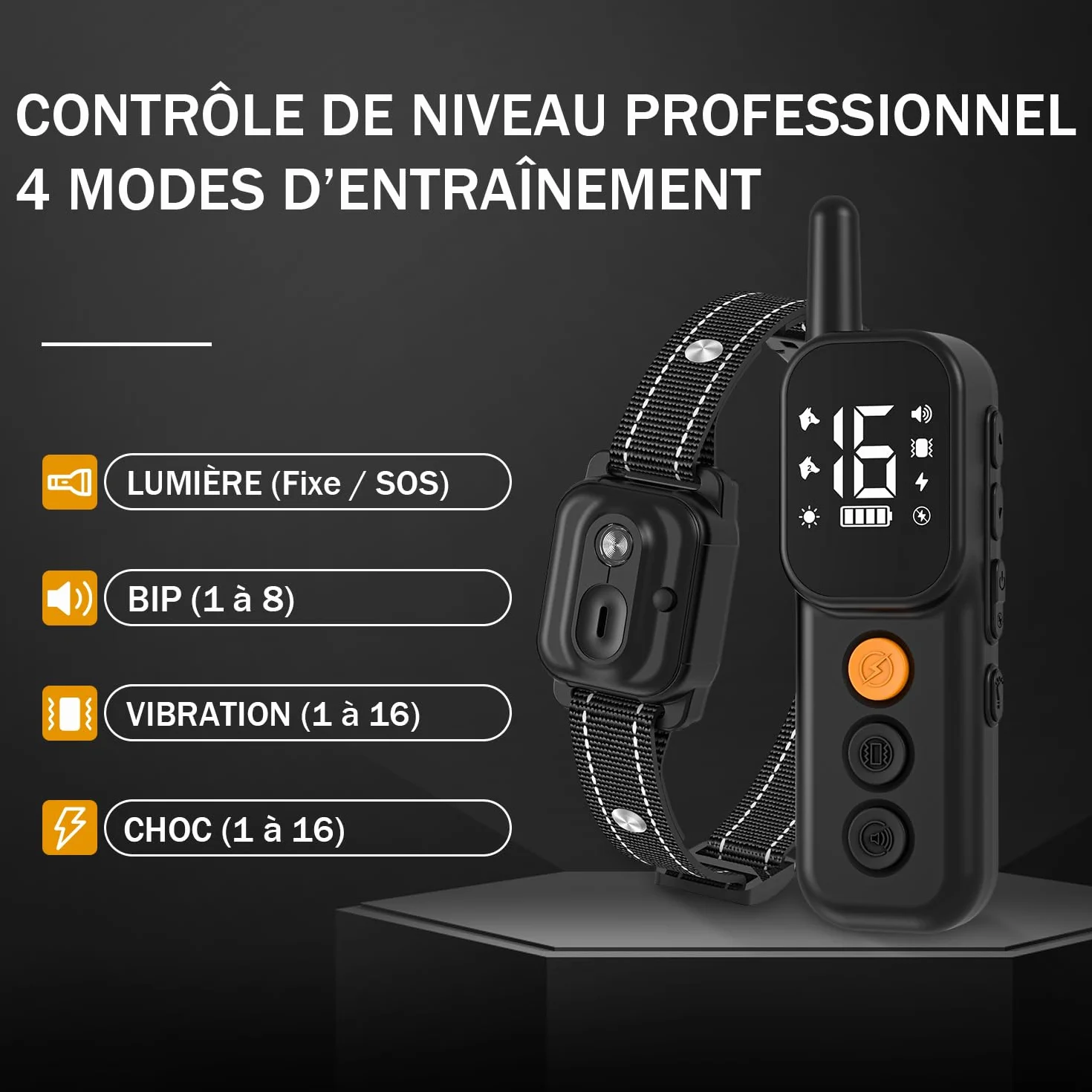 Collier de Dressage pour Chien IP67 1000m Double Canal avec Verrouillage de Sécurité Noir
