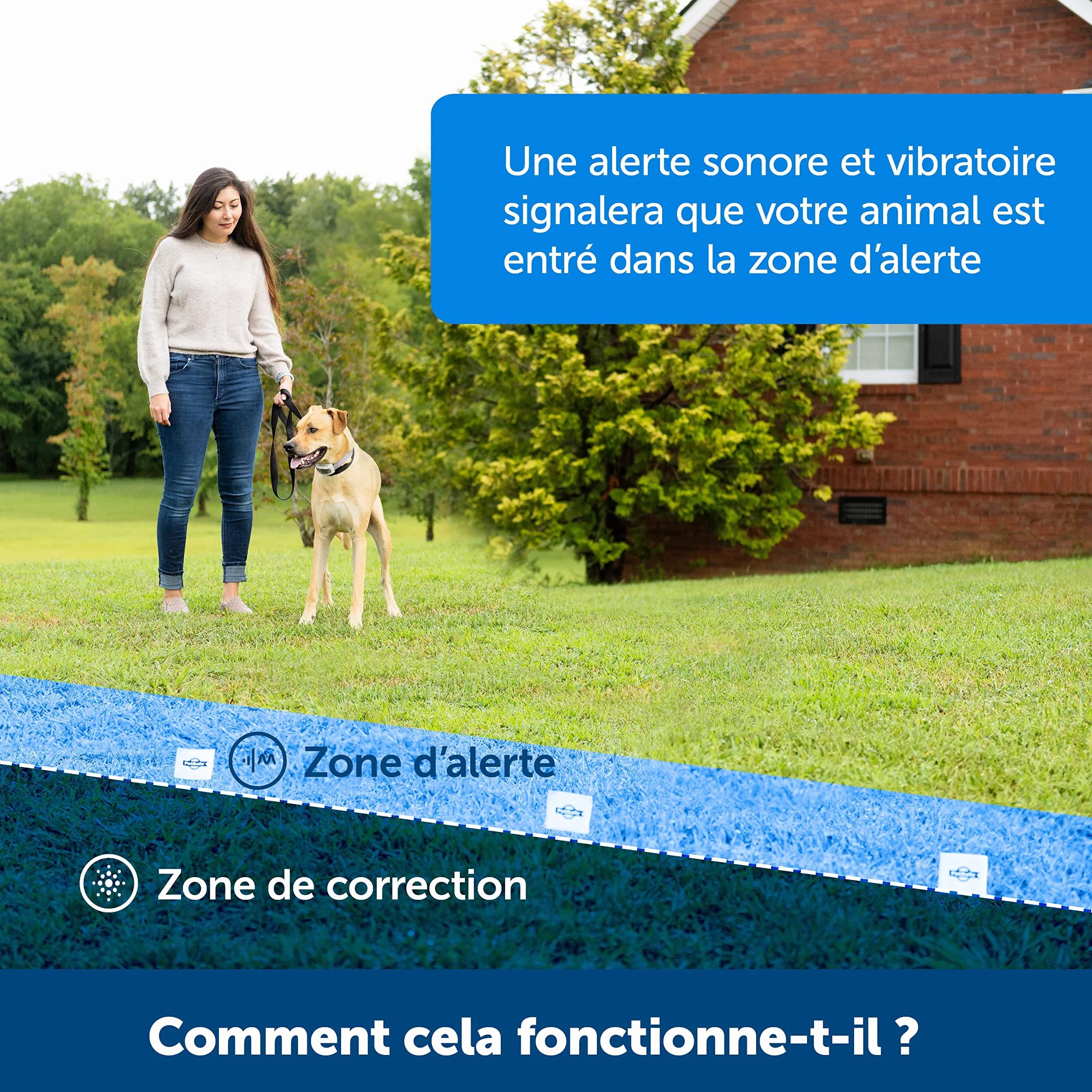 PetSafe Collier-récepteur Rechargeable pour clôture Anti-Fugue Classique avec Fil - 7 Niveaux de Stimulation réglables pour Chiens et Chats dès 2,3 kg