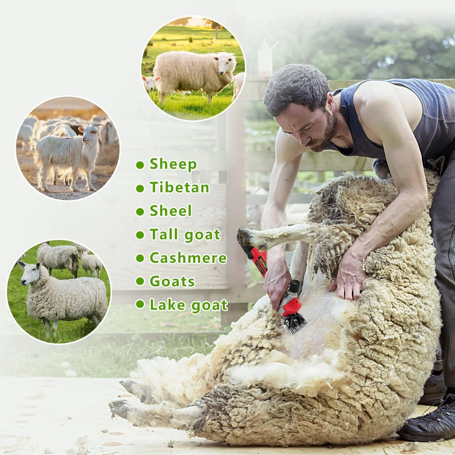 Tondeuse Electrique Mouton 1000W 6 Vitesses Réglables Machine Cisaillement Professionnelle Animaux Laine Chèvre Étui Transport Rouge